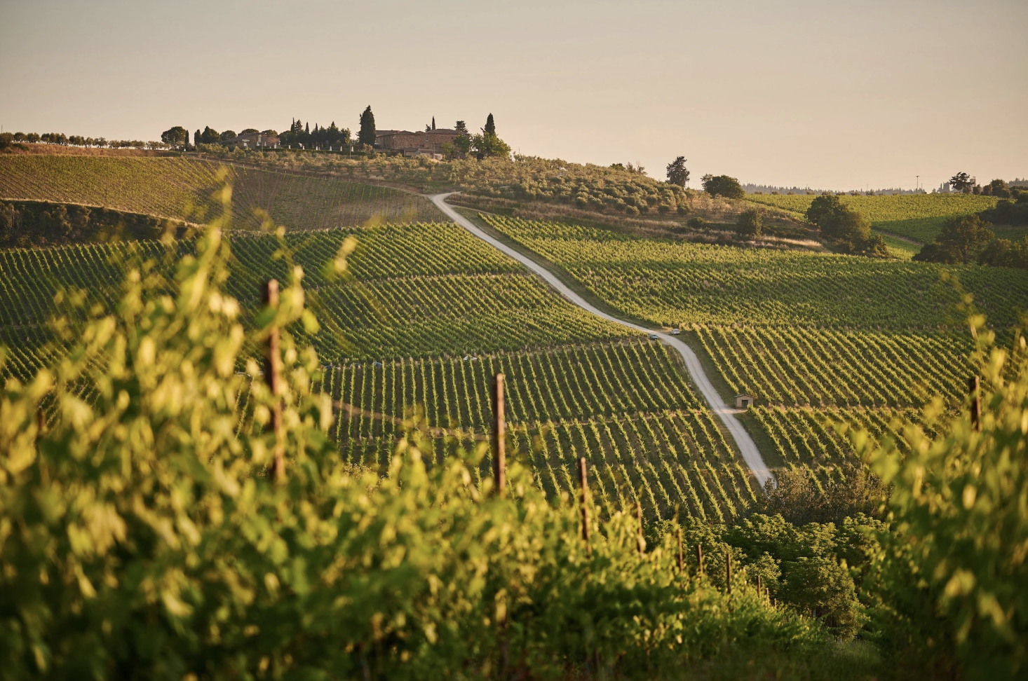 Your Guide to Italy’s Most Beautiful Wine Regions