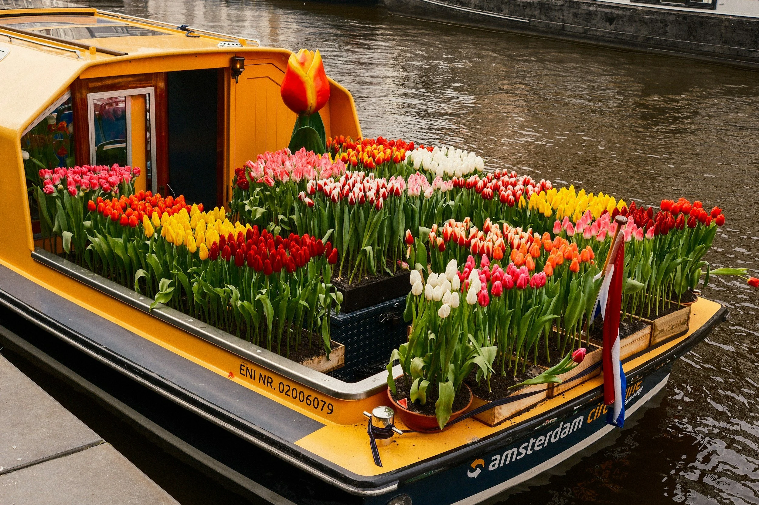 Colorful tulip display on a canal boat in Amsterdam, featuring vibrant red, yellow, pink, and white flowers along the water.