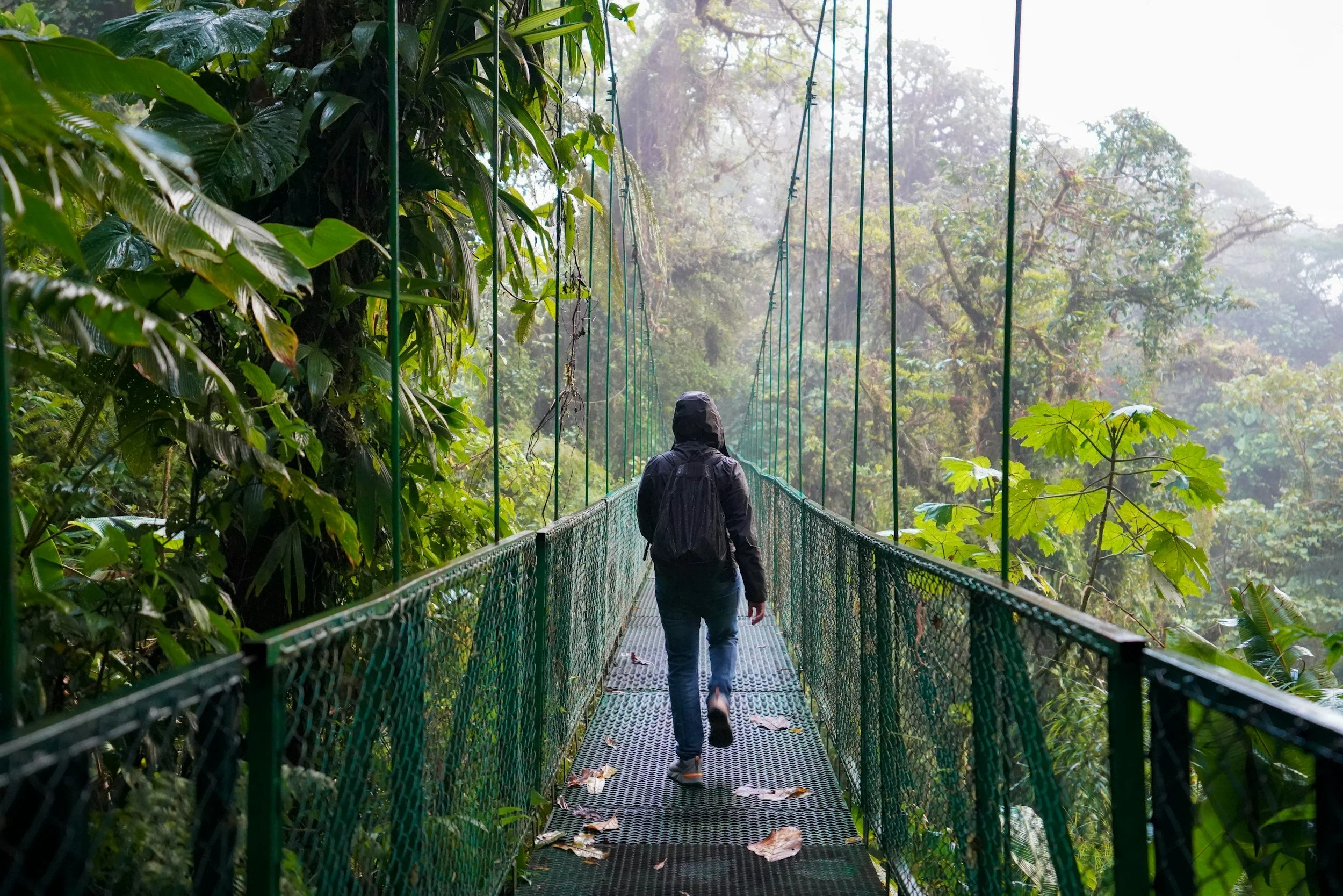 Traveler walking across a suspension bridge through Costa Rica’s lush rainforest canopy, surrounded by dense tropical vegetation and misty jungle scenery.