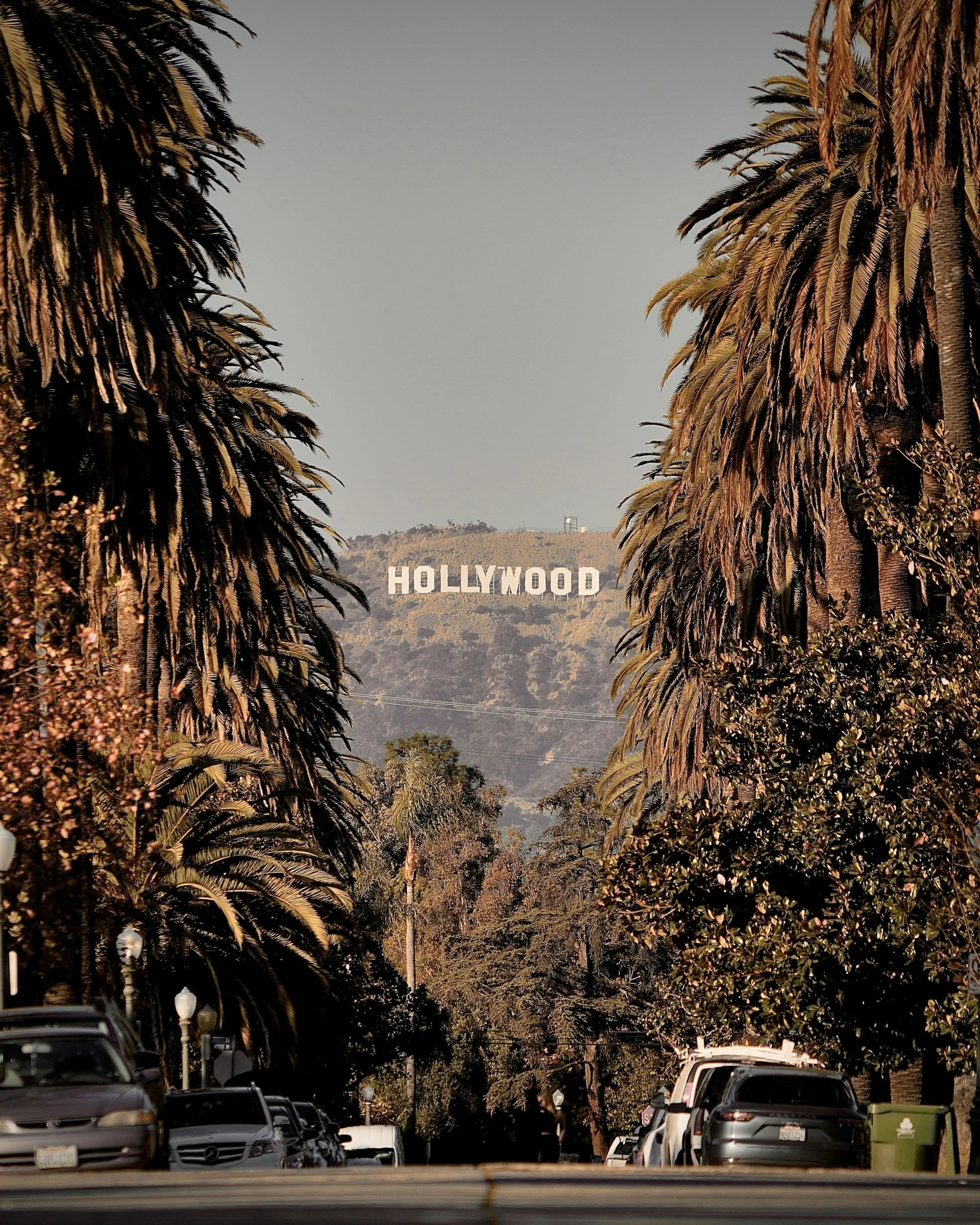 The iconic Hollywood Sign rises above the hills of Los Angeles, framed by towering palm trees and lush greenery, capturing one of Southern California’s most recognizable landmarks.