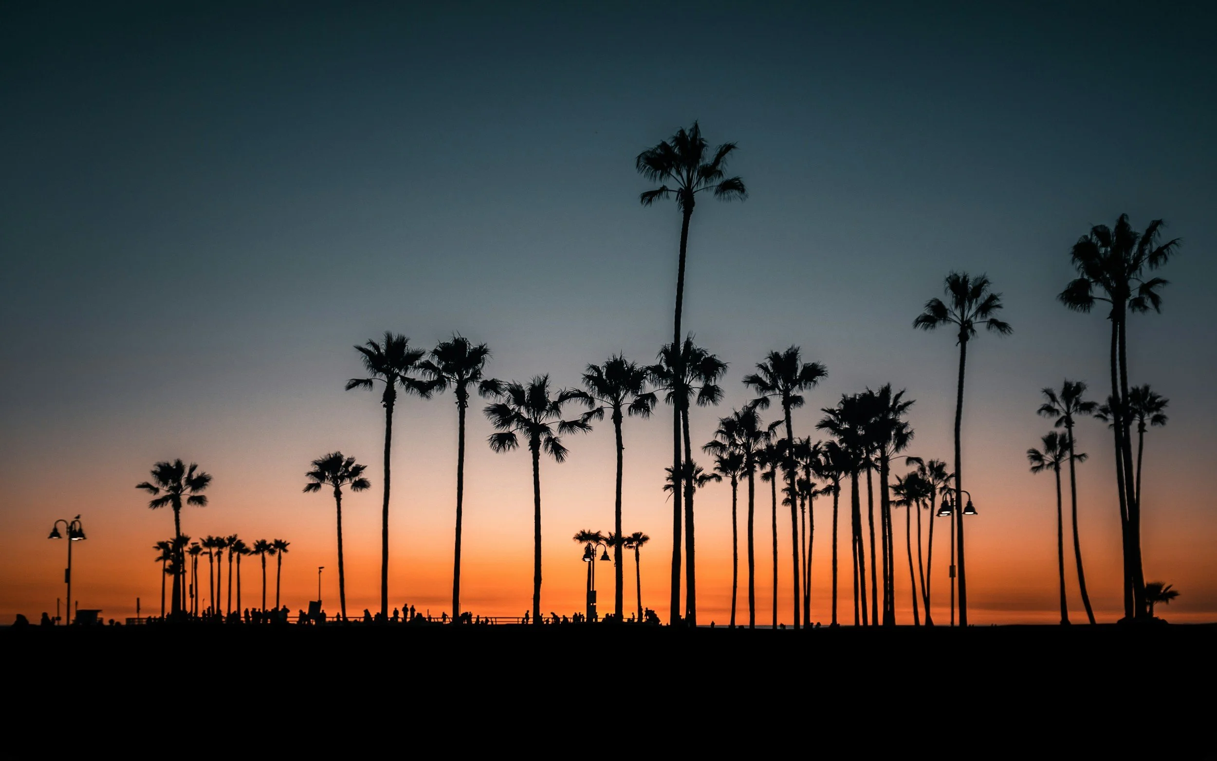 Silhouetted palm trees along a Southern California beach at sunset, set against a vibrant orange and deep blue evening sky.