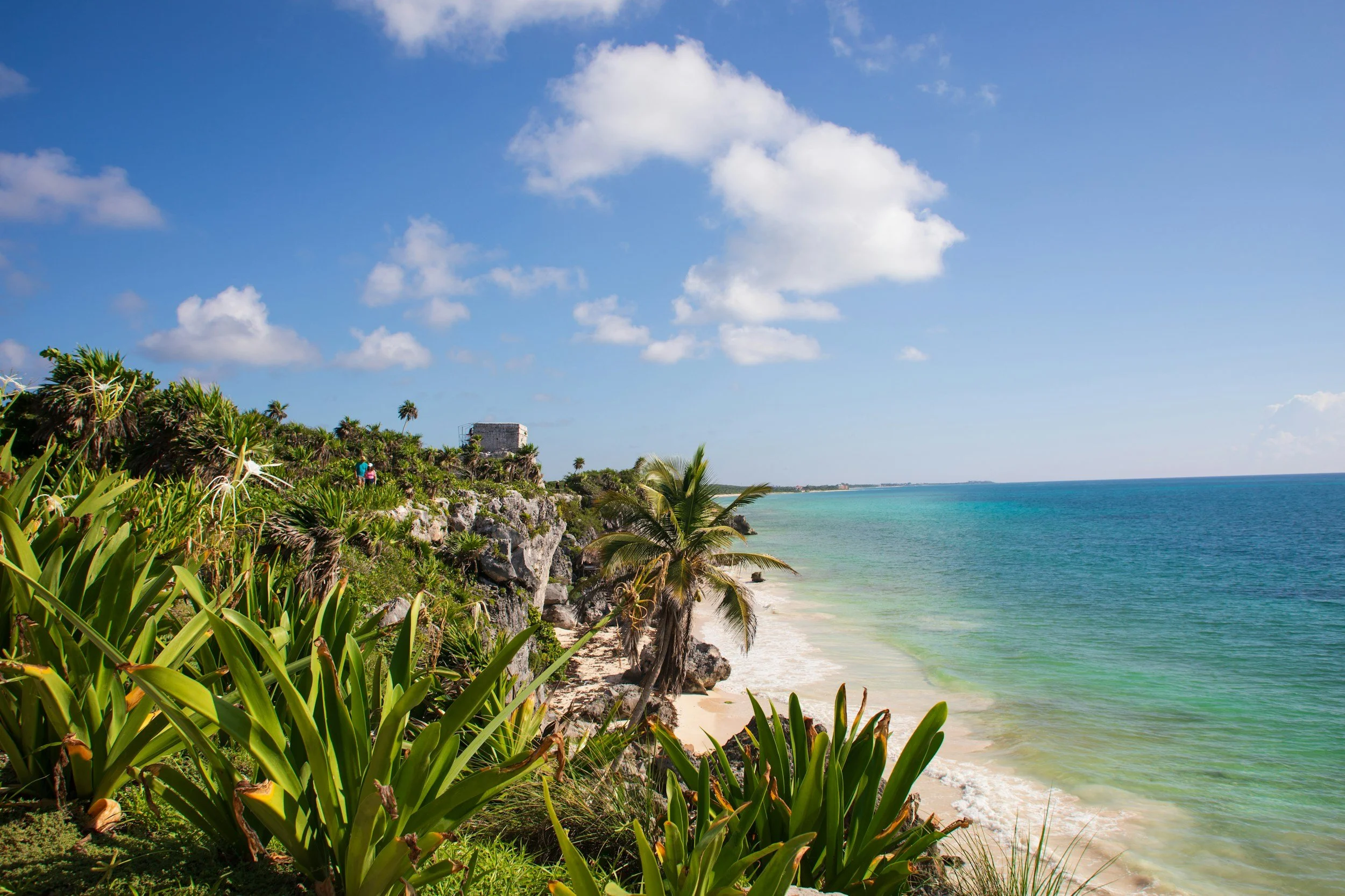 Tropical coastline in Tulum, Mexico, with turquoise Caribbean water, a sandy beach, palm trees, lush vegetation, and ancient Mayan ruins overlooking the sea.