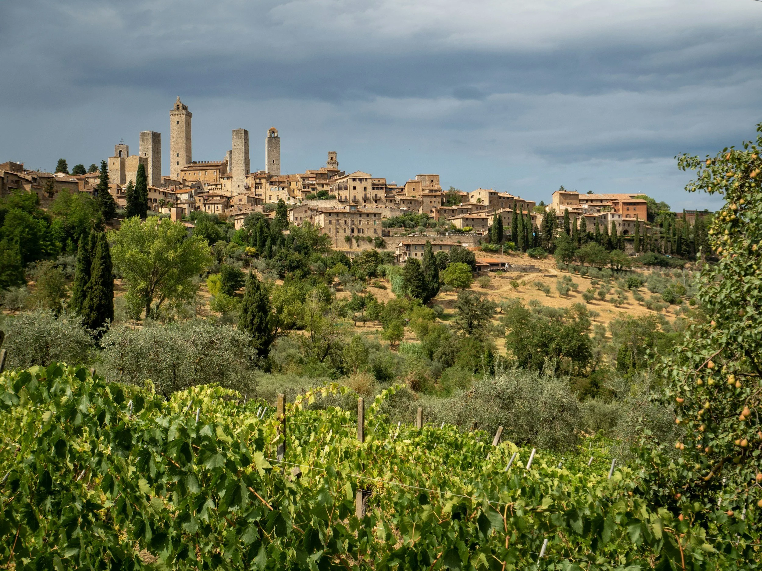 Panoramic view of San Gimignano, Tuscany, with medieval stone towers rising above vineyards, olive groves, and rolling countryside.