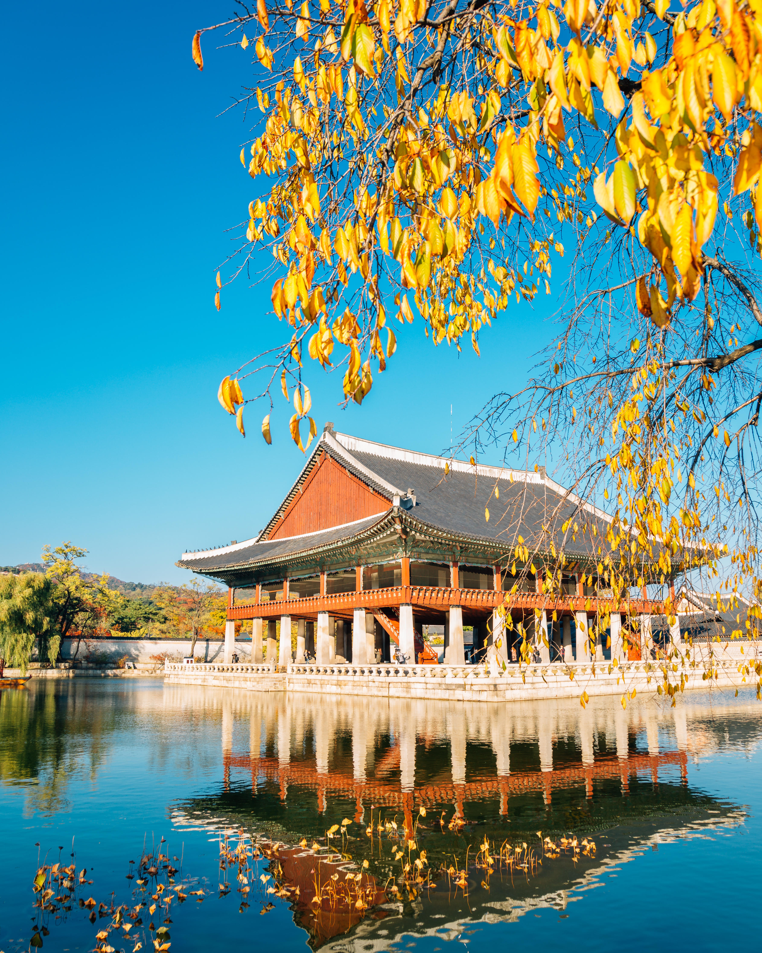 Gyeonghoeru Pavilion at Gyeongbokgung Palace in Seoul, South Korea reflected in a tranquil pond with autumn foliage framing the historic Korean architecture.