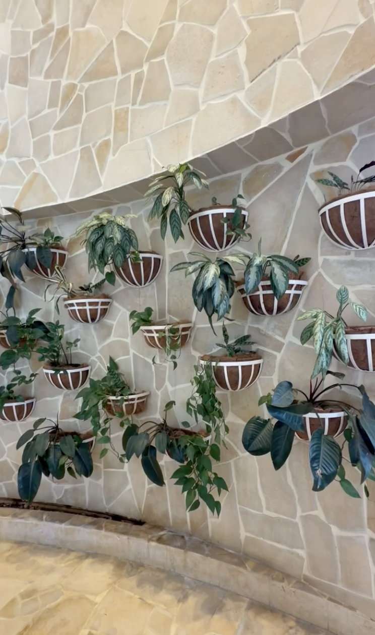 Entrance to Nā Ho‘ōla Spa at Hyatt Regency Waikiki Beach Resort & Spa in Honolulu, Oahu, featuring a tranquil tropical design and welcoming spa lobby.