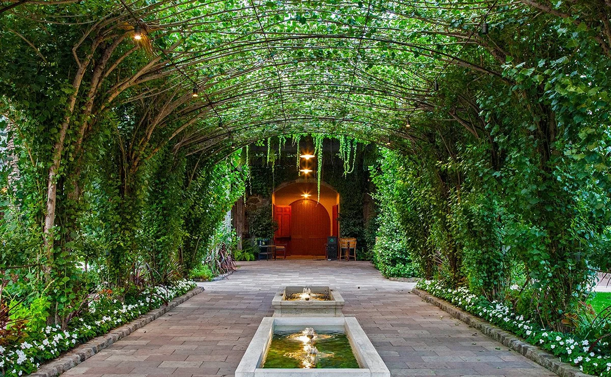 Lush vine-covered arbor at Caymus Vineyards in Napa Valley featuring a shaded stone walkway, decorative fountains, and a picturesque entrance surrounded by greenery.