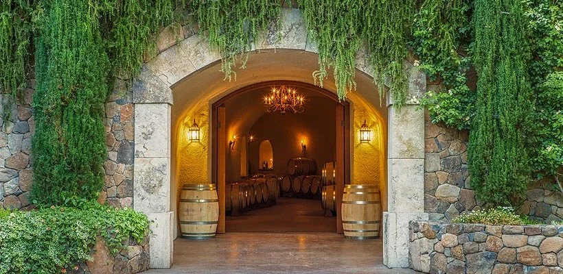 Elegant wine cave entrance at a Napa Valley winery featuring a stone archway, hanging greenery, oak wine barrels, and a softly lit underground tasting cellar.