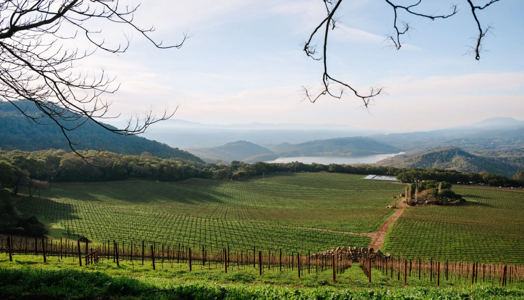 Panoramic view of Napa Valley vineyards overlooking Lake Hennessey, with rolling green hills, vineyard rows, and mountains stretching into the distance.