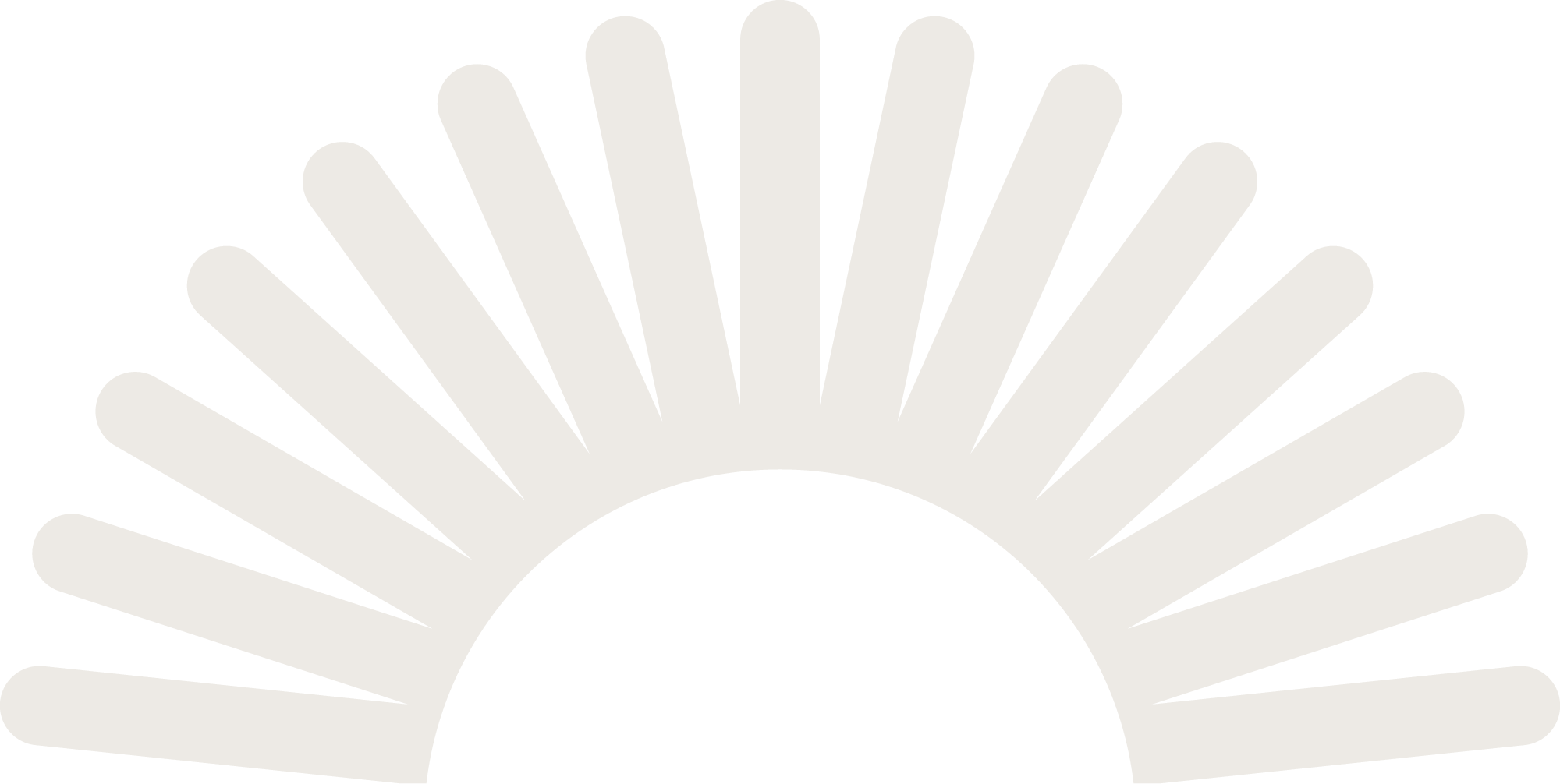 A semi-circular pattern of elongated, light gray petal-like shapes radiating from a central point.