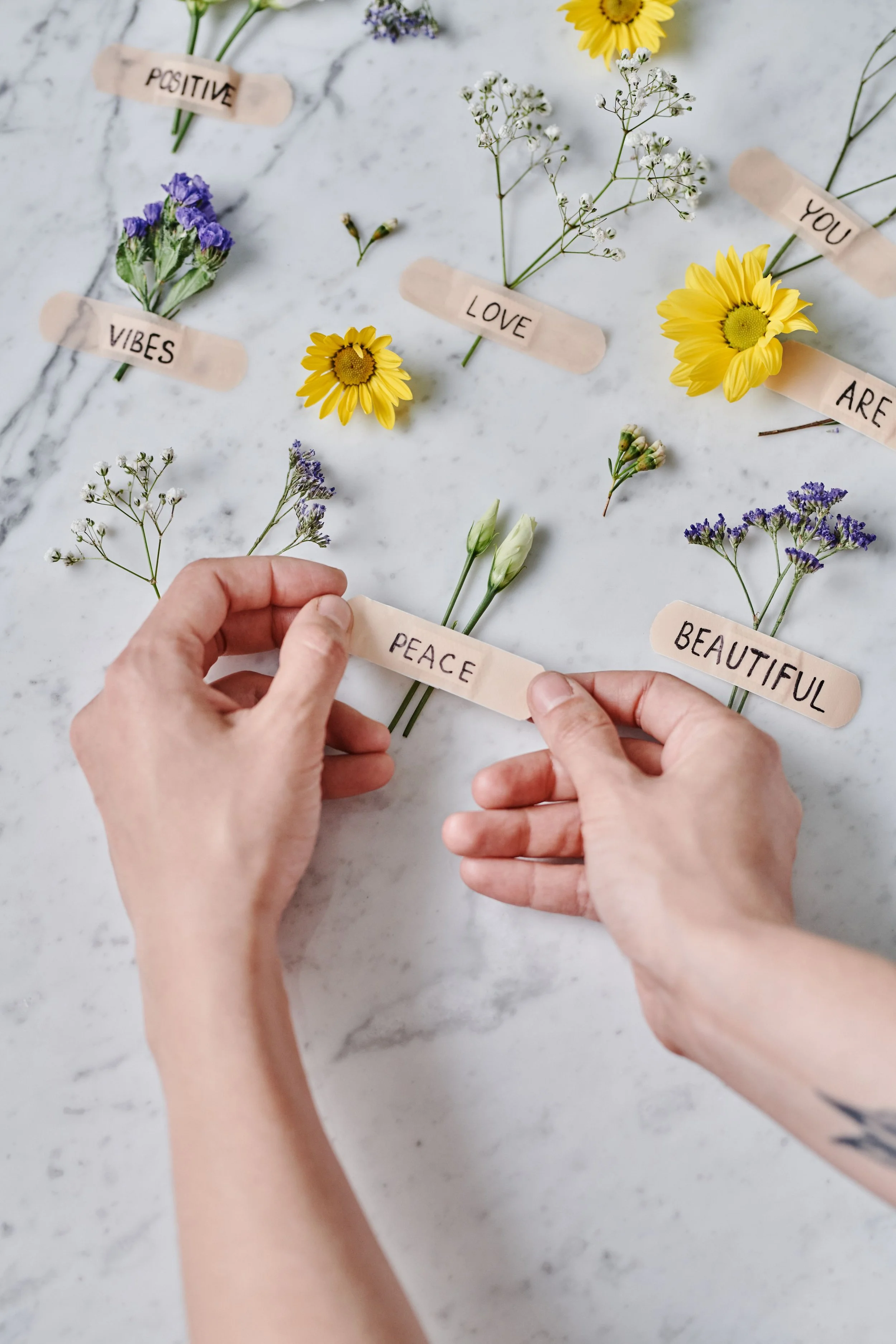 Navigating Perimenopause and Menopause Summer Series Part 2