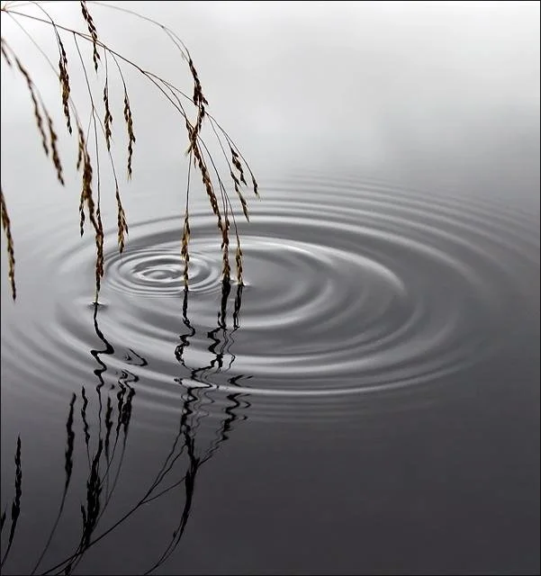 Breath & Presence
