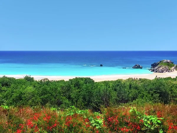 Exploring Bermuda