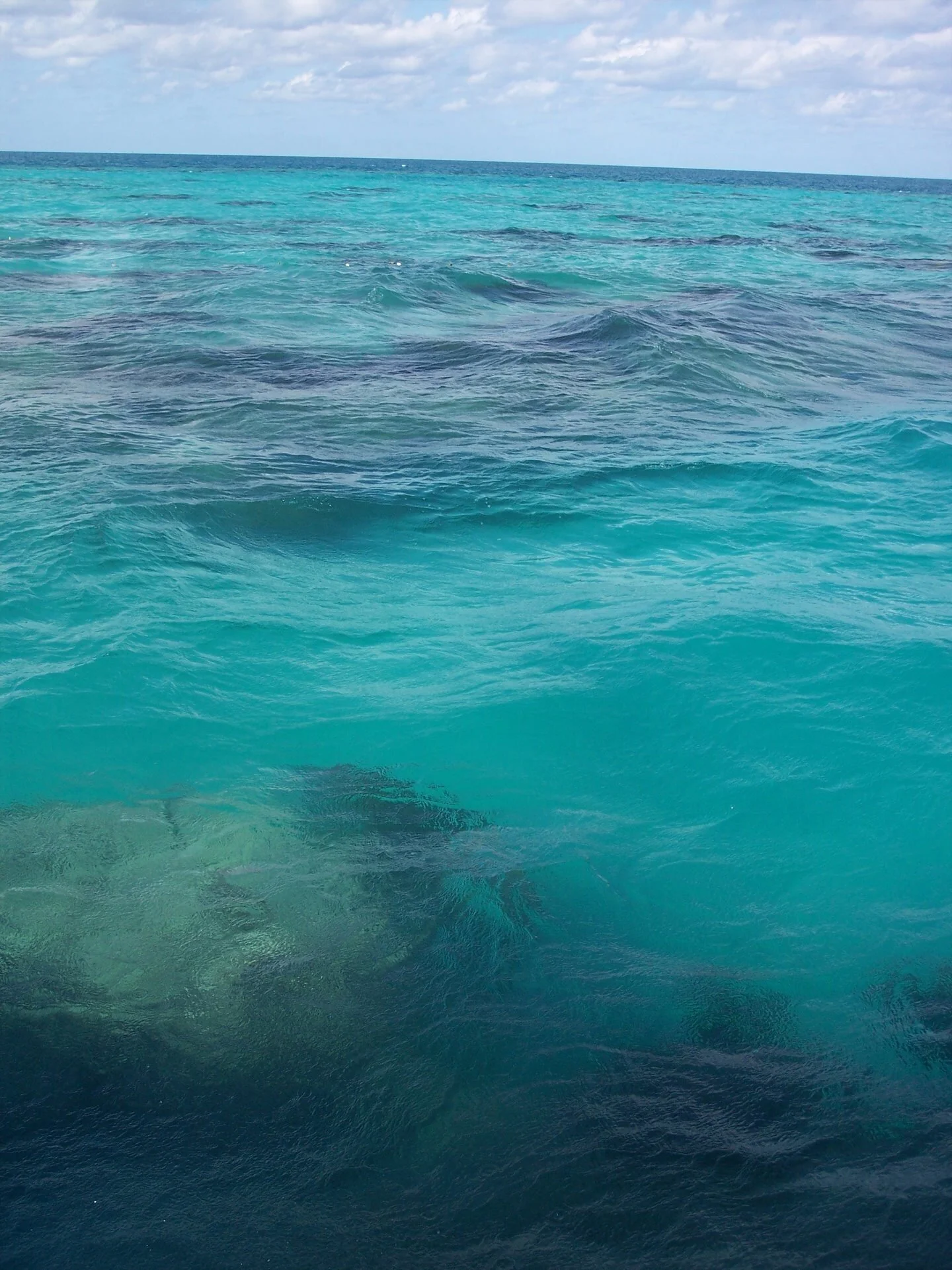 2013-11-17 12.21.48.jpg