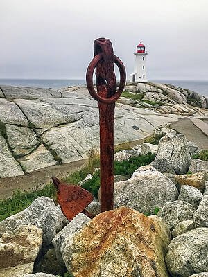 new-title--peggyscovelight-judy-duncan.jpg