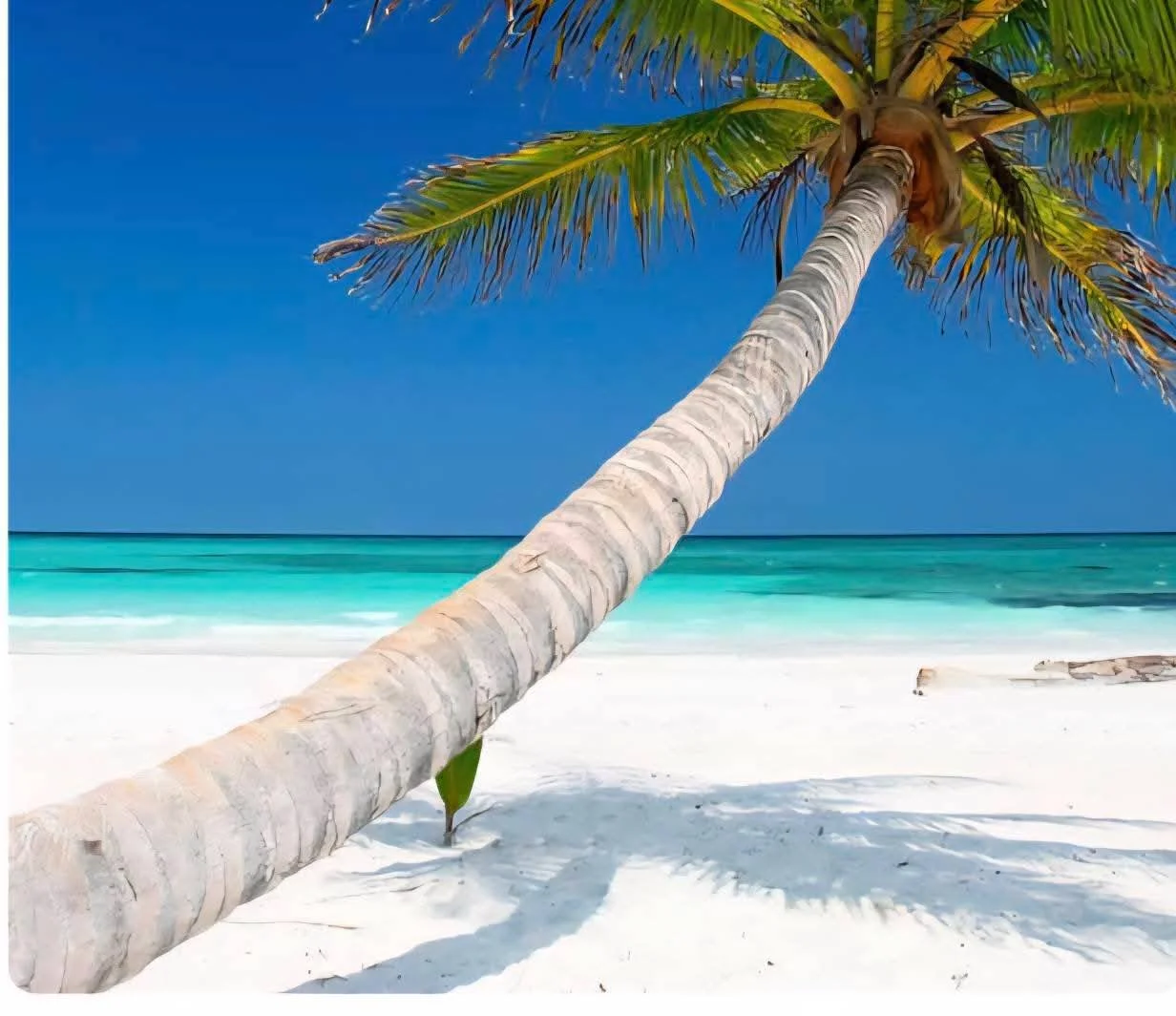 Enjoy a white sand beach in Cancun 