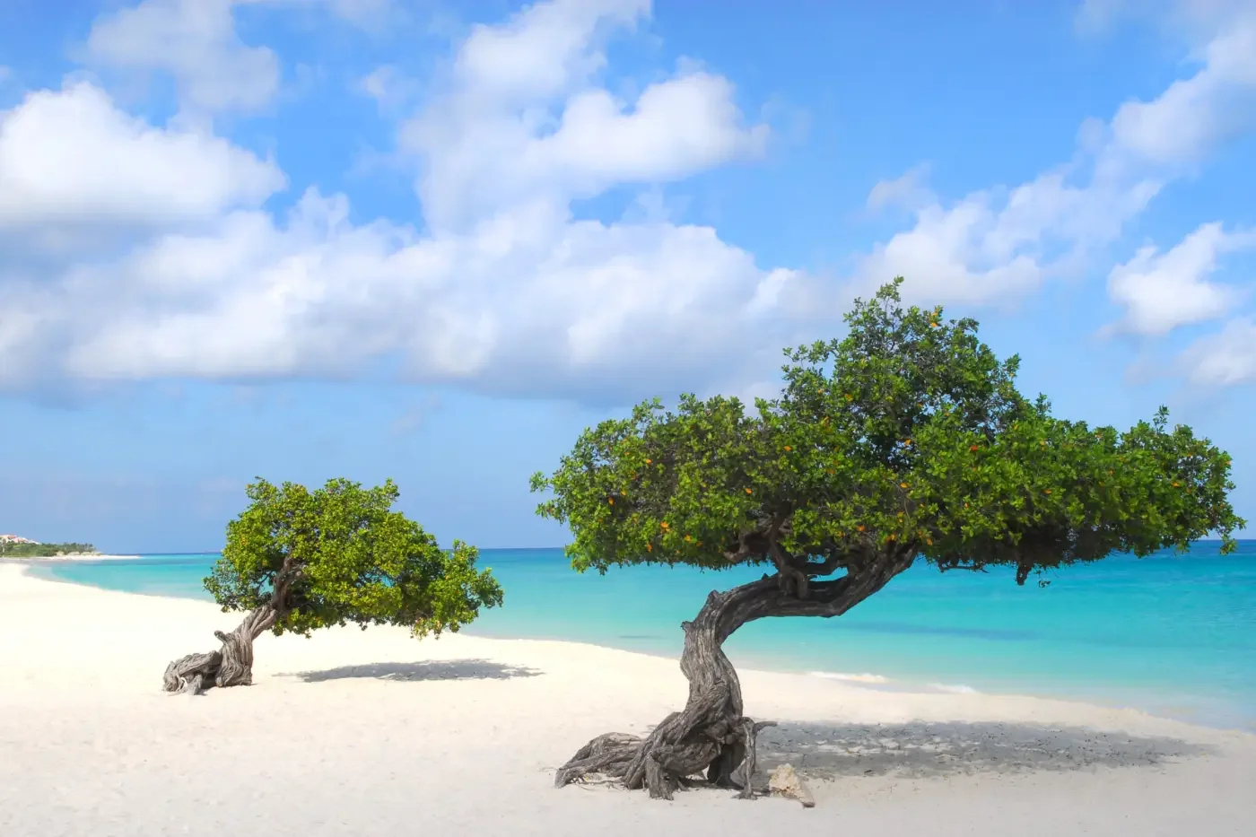 Aruba Beaches are calling you