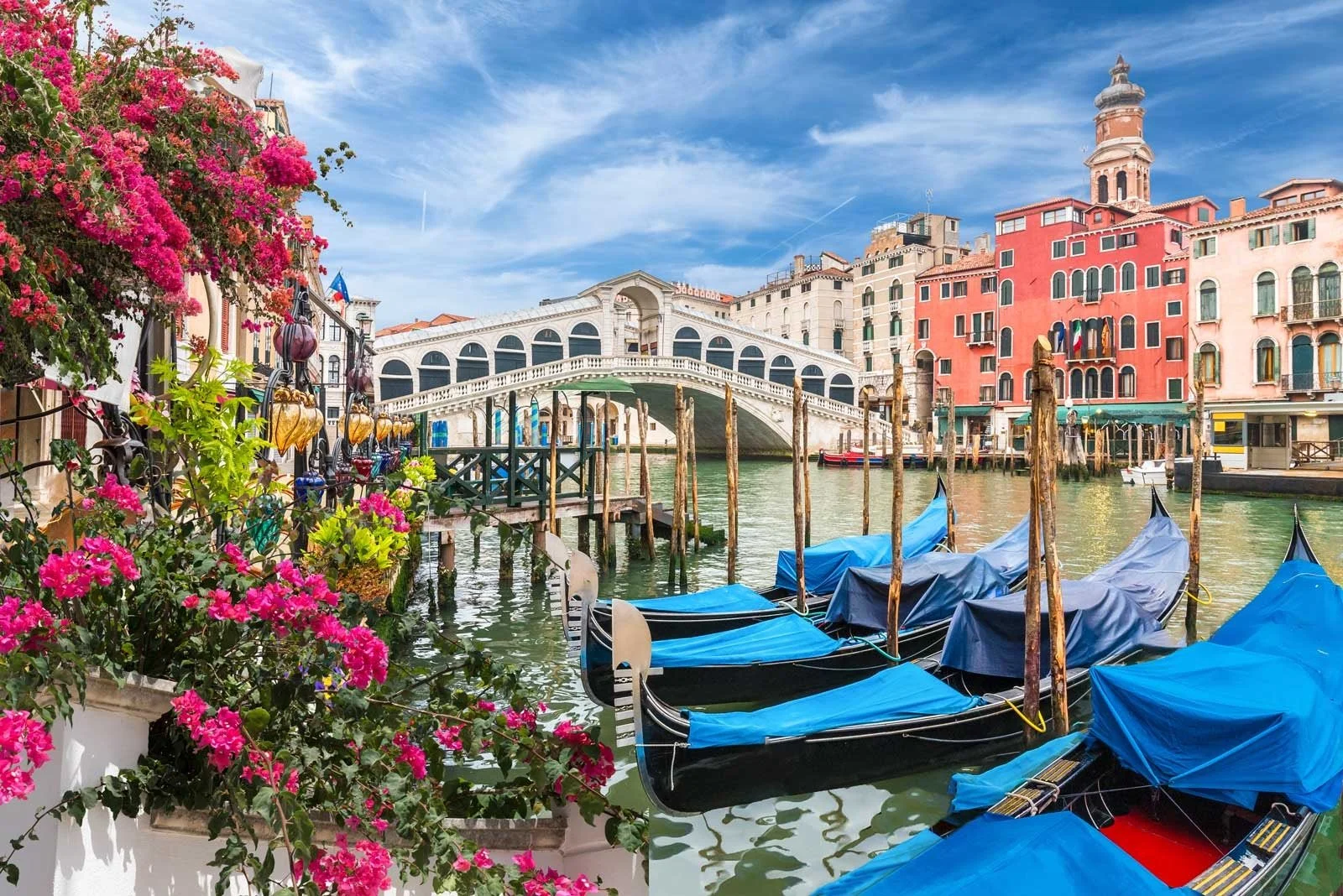 View of the Rialto Bridge over Venice's Grand Canal, with colorful buildings and gondolas covered with blue tarps in the foreground, pink bougainvillaea plants on the left.