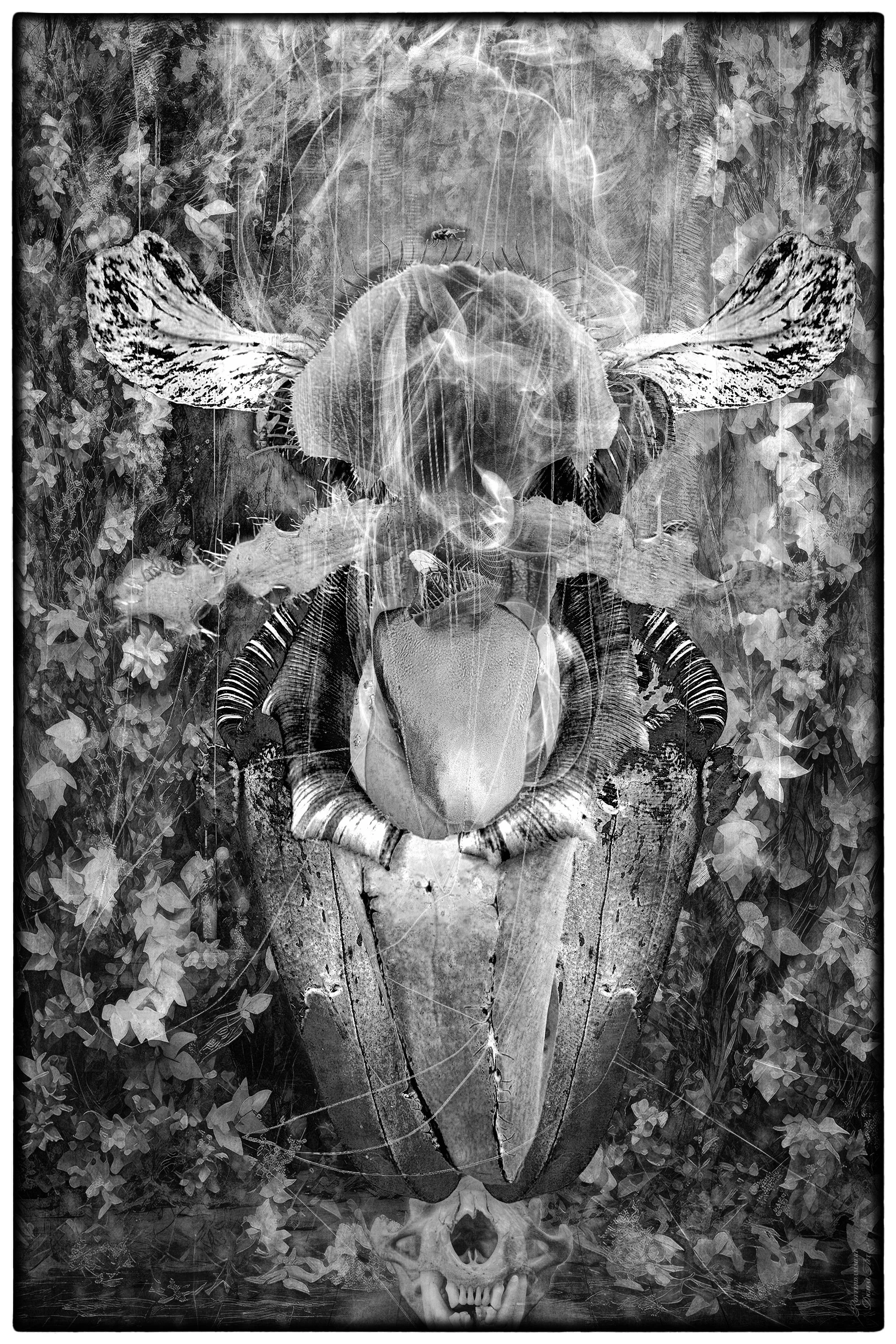 Shift Art challenge Dec 2025 'Dangerous flowers' ...