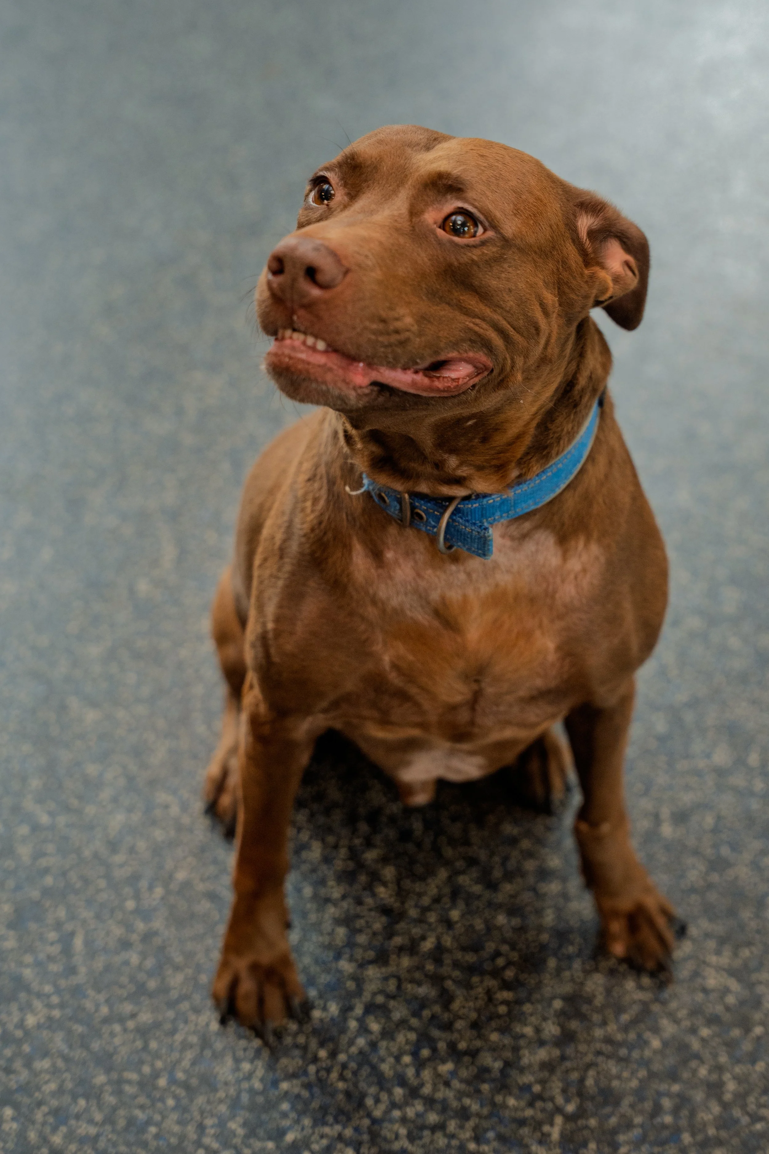 Humane Society-08.jpg