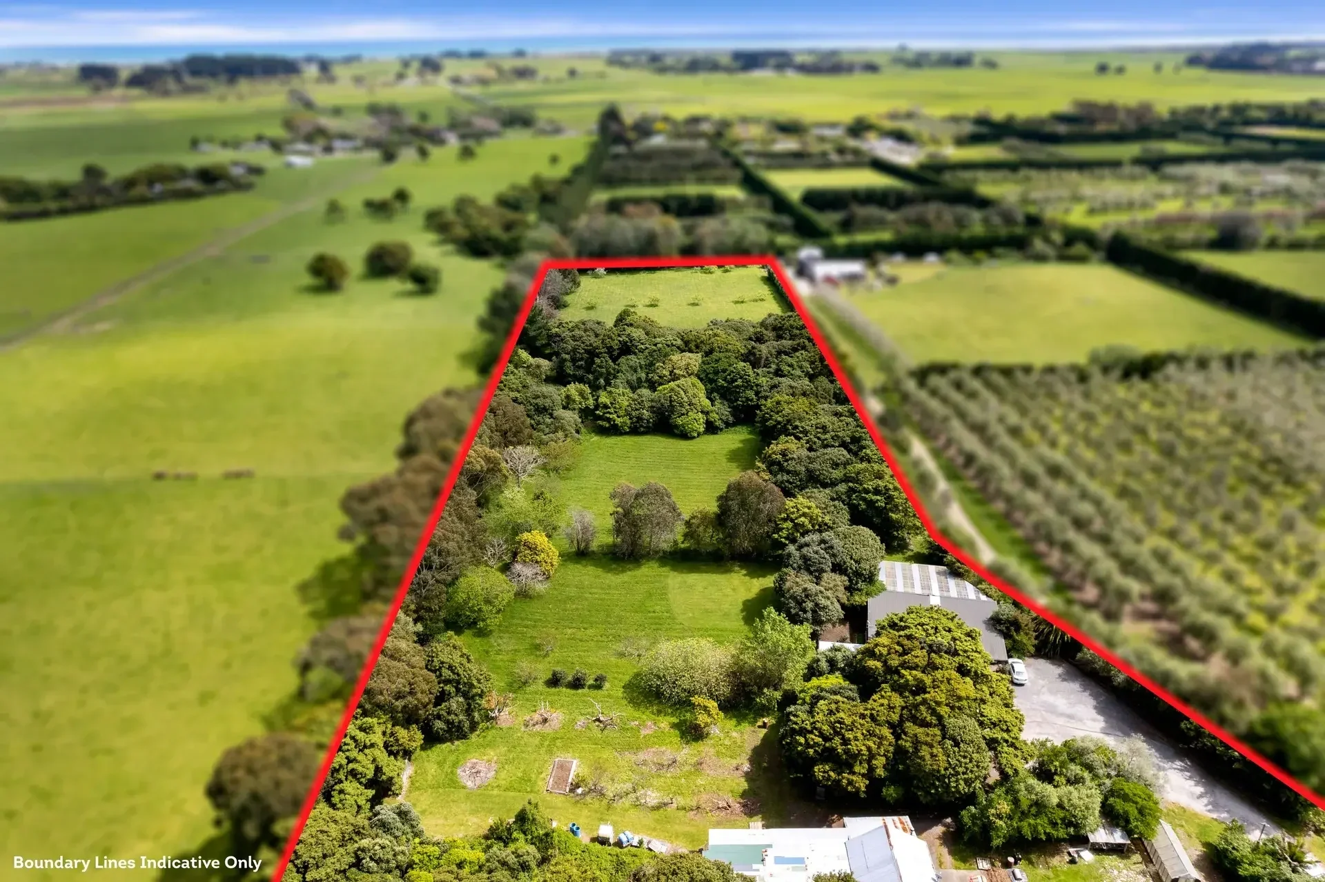 Aerial view of a large, green property outlined by red boundary lines, featuring a mix of open grassy areas and dense trees, with some buildings and a driveway nearby.