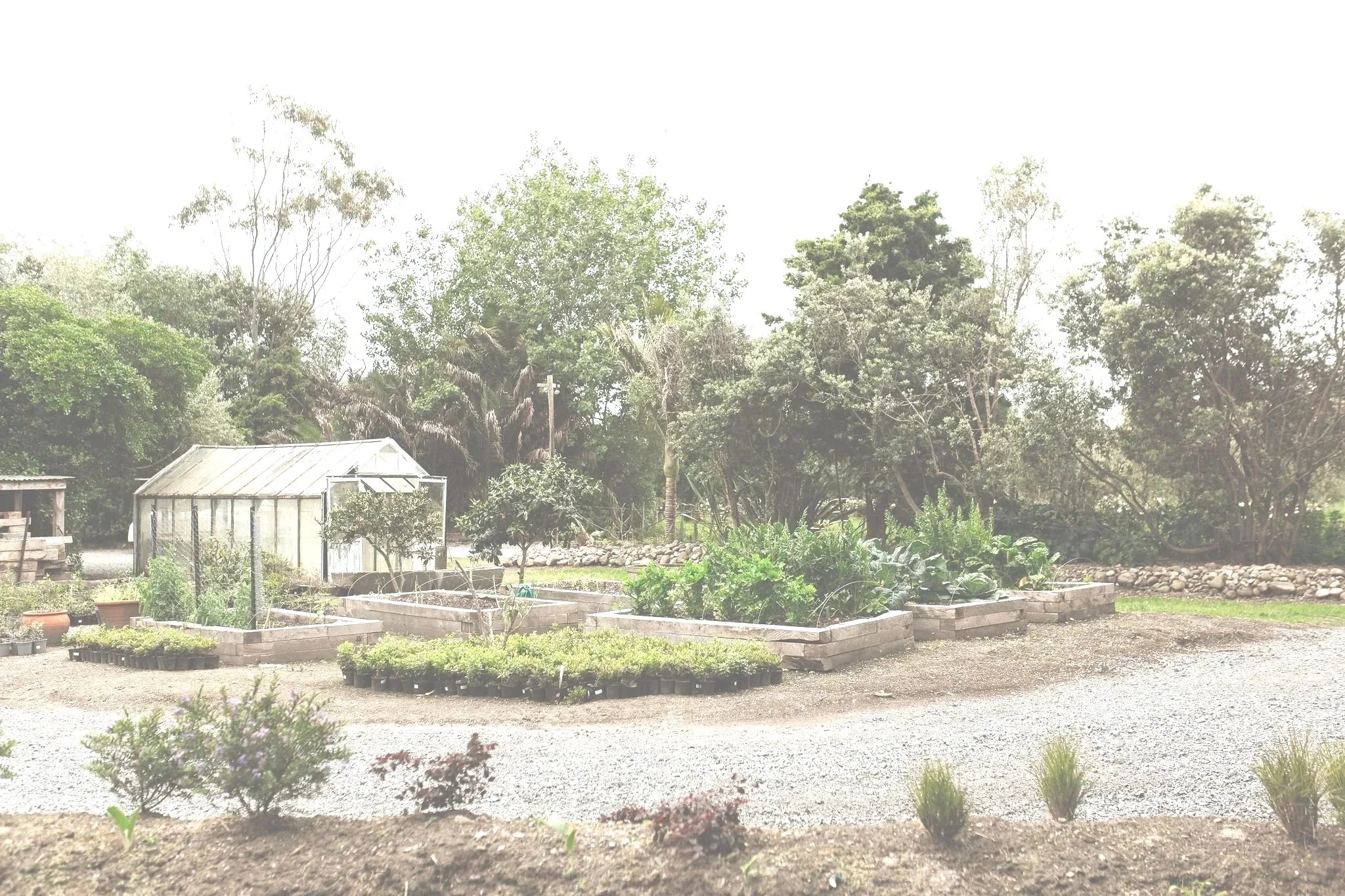 A garden with planted beds, a small greenhouse, trees, and shrubs, surrounded by a gravel path and a stone border.