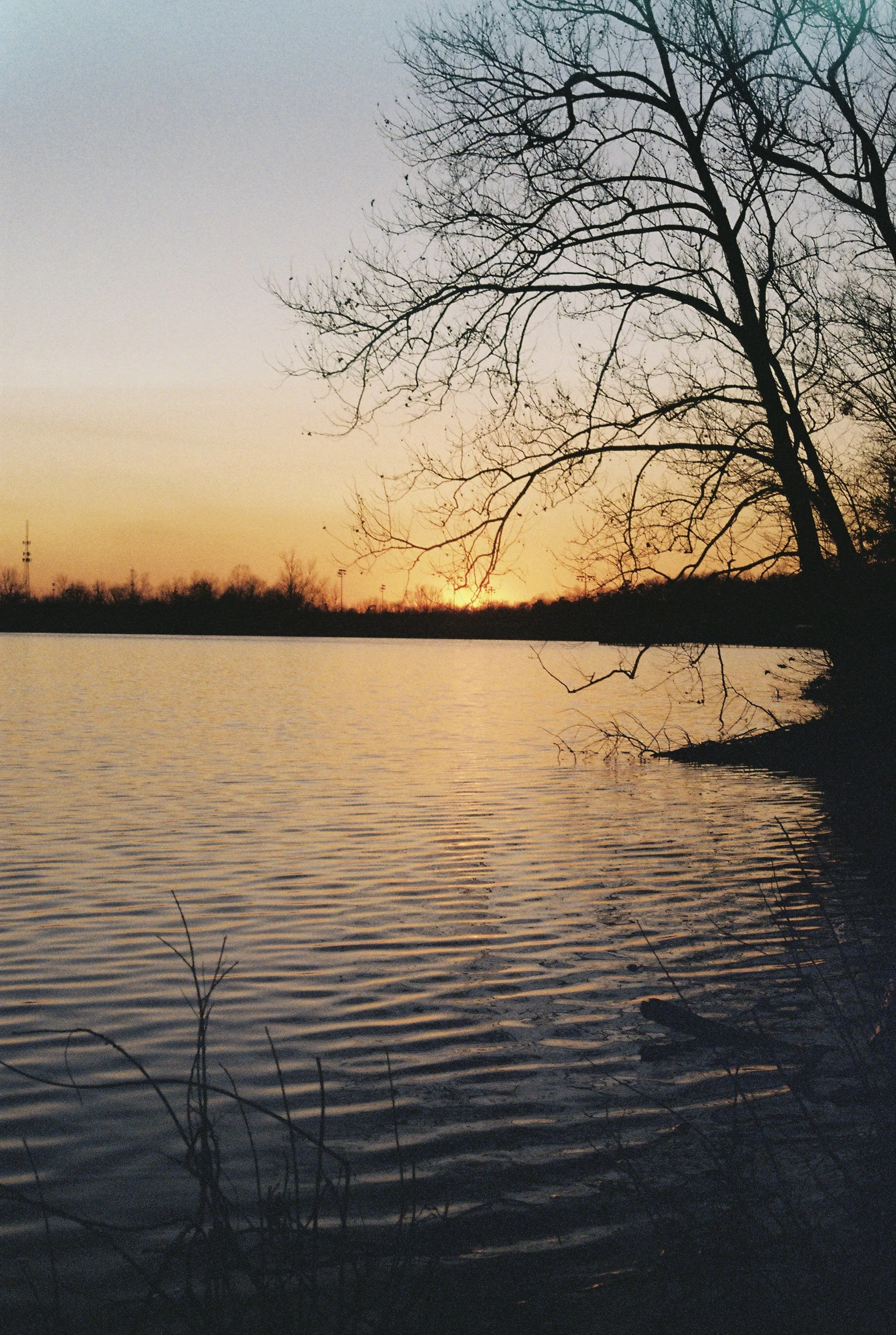 Landscape
