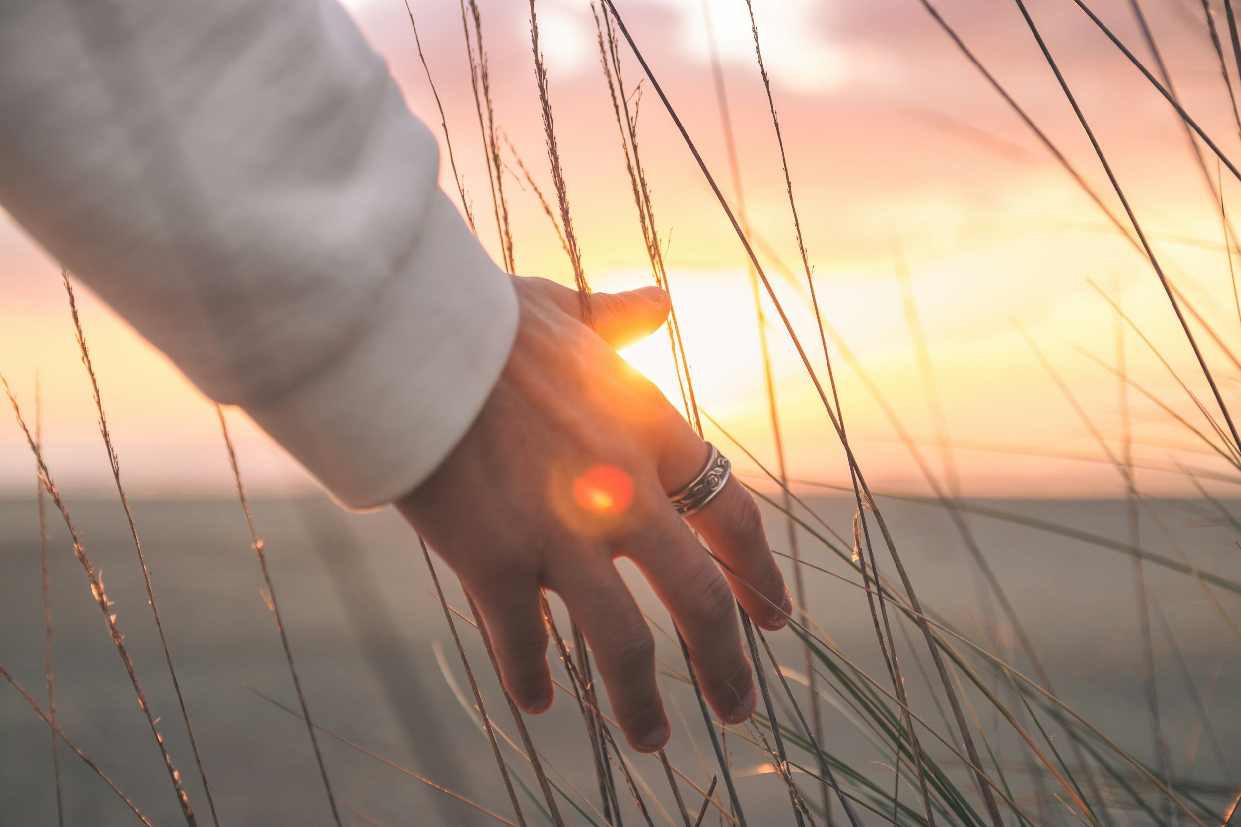 unsplash-image-DUy6FEHCMuU.jpg