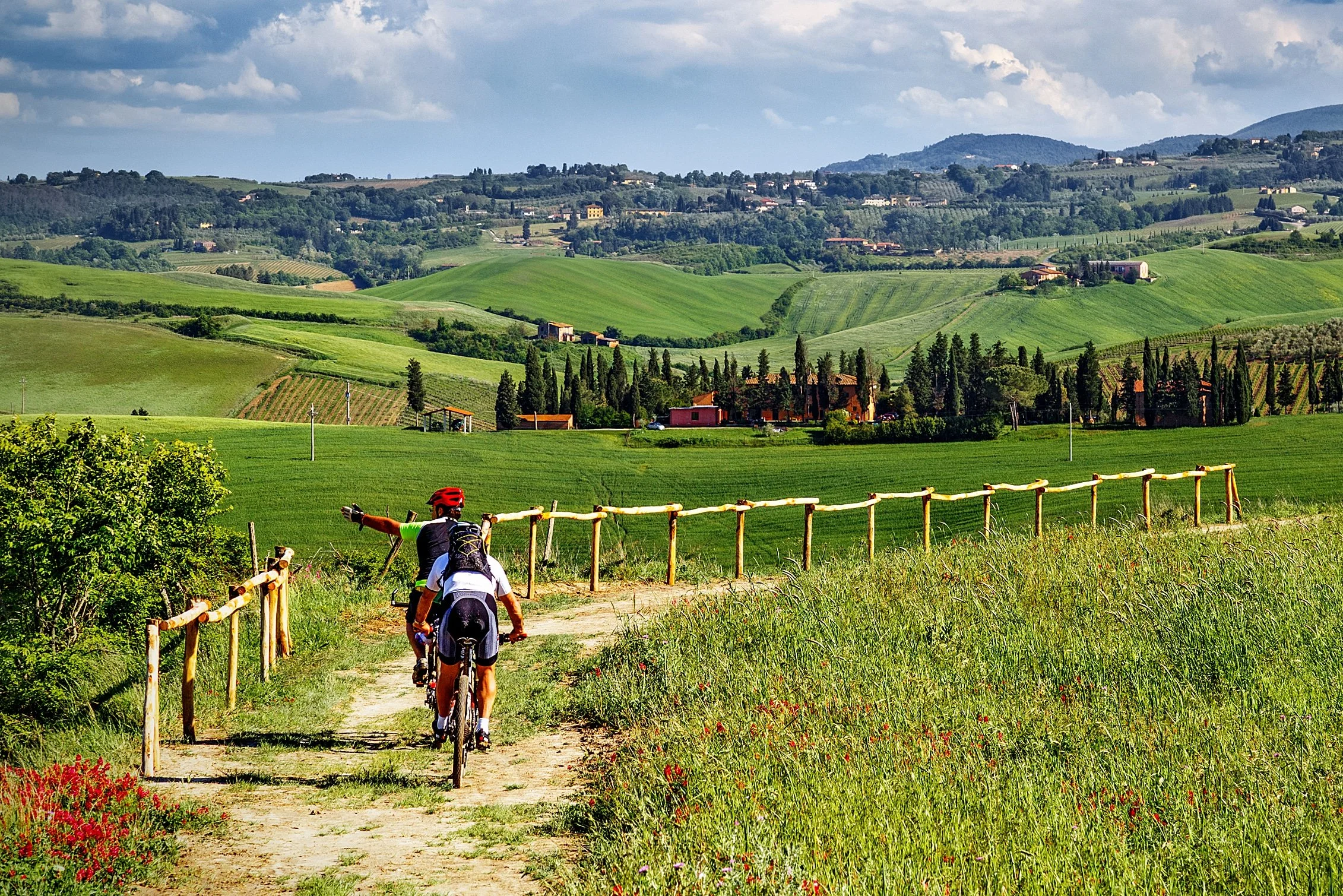 Bike Rentals
