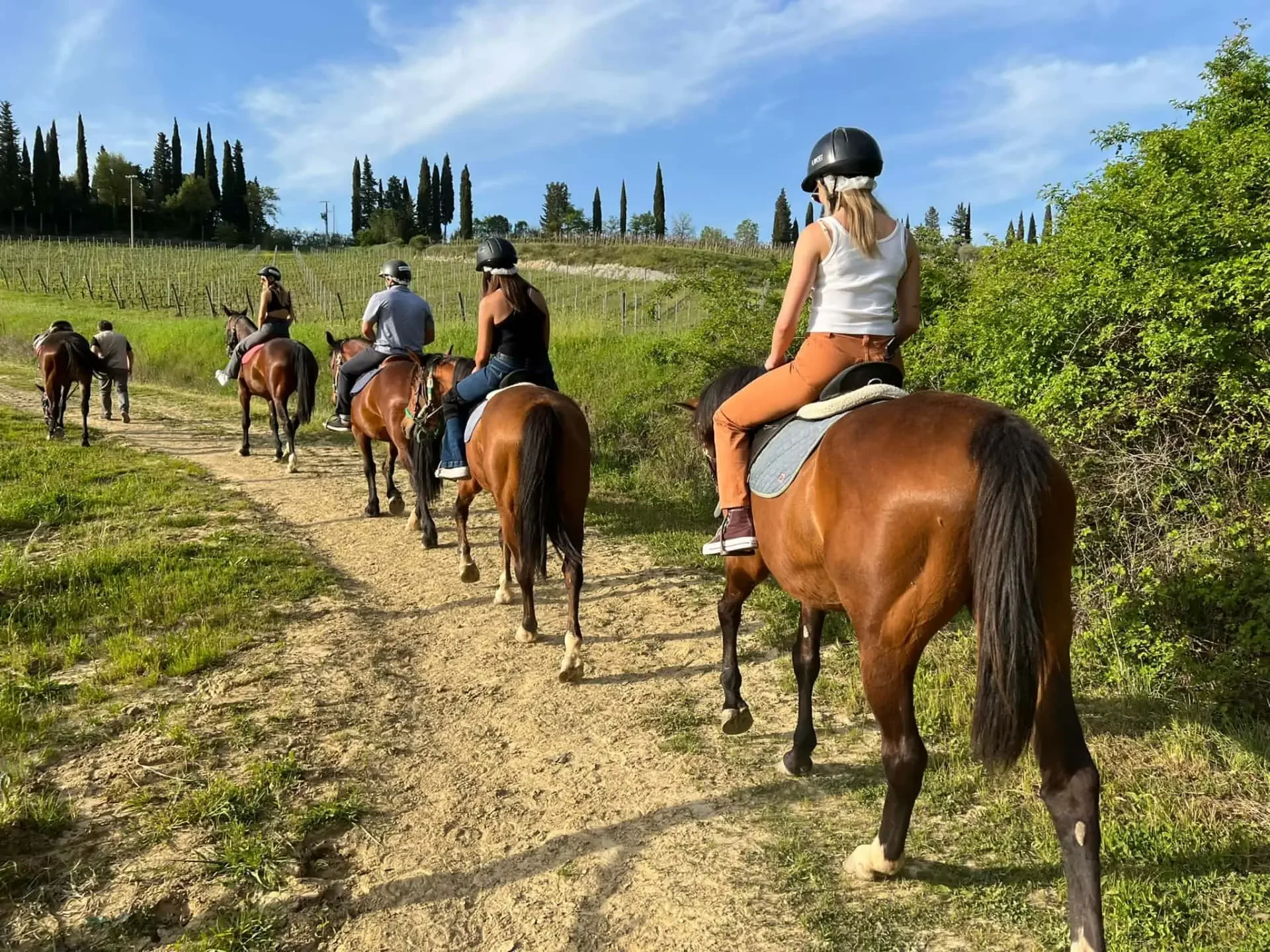 Horseback Riding Through Chianti