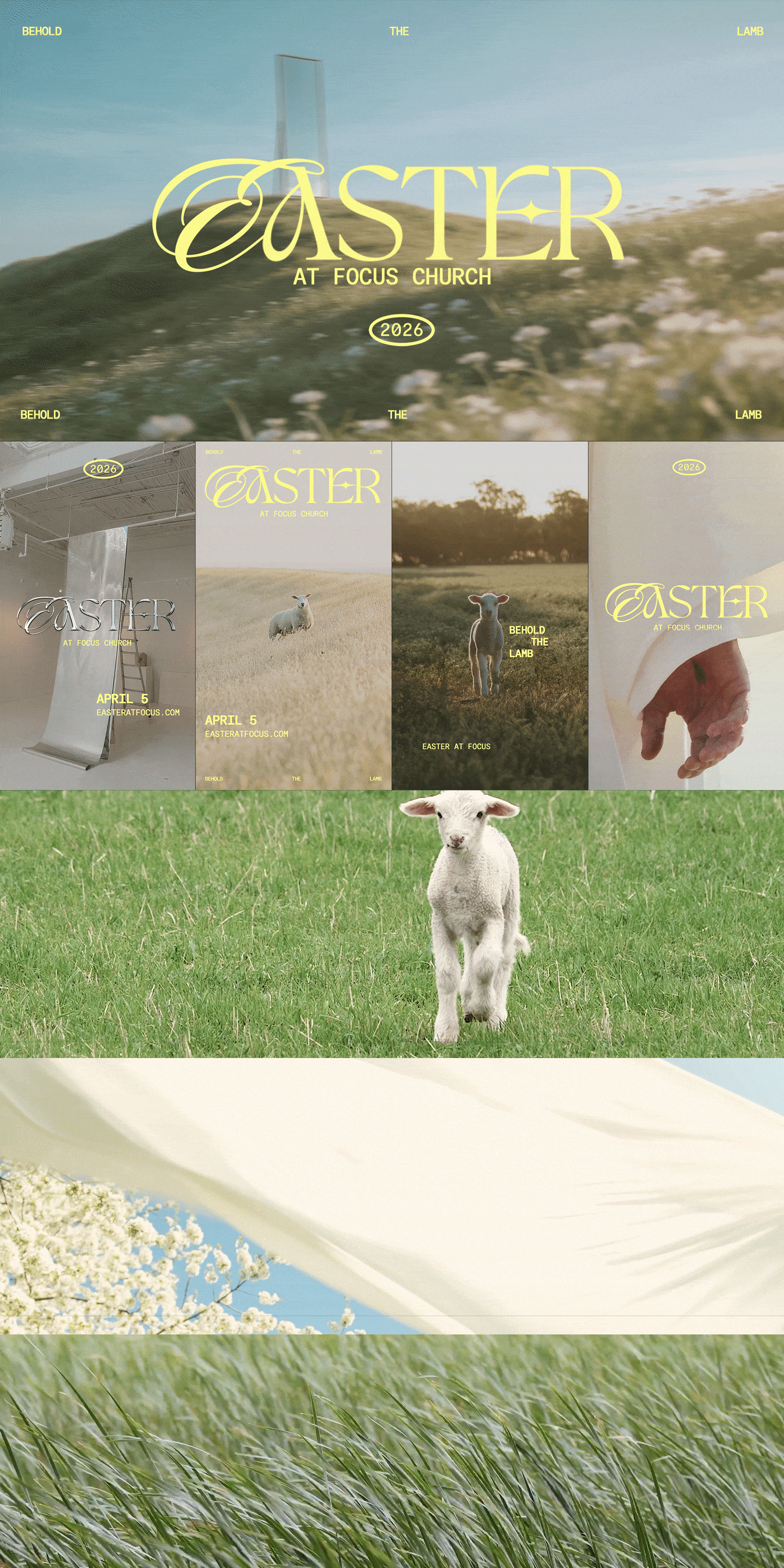 Easter for Portfolio_1.gif