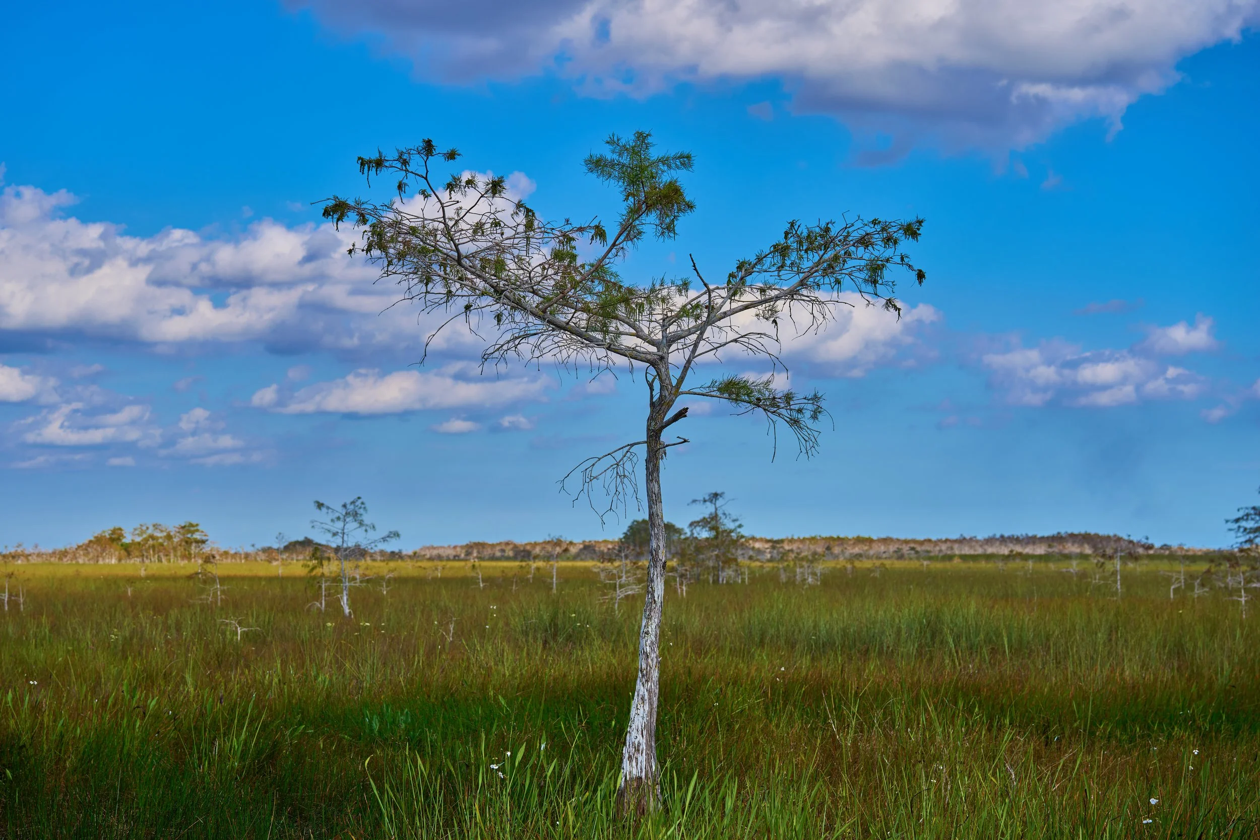 Everglades National Park