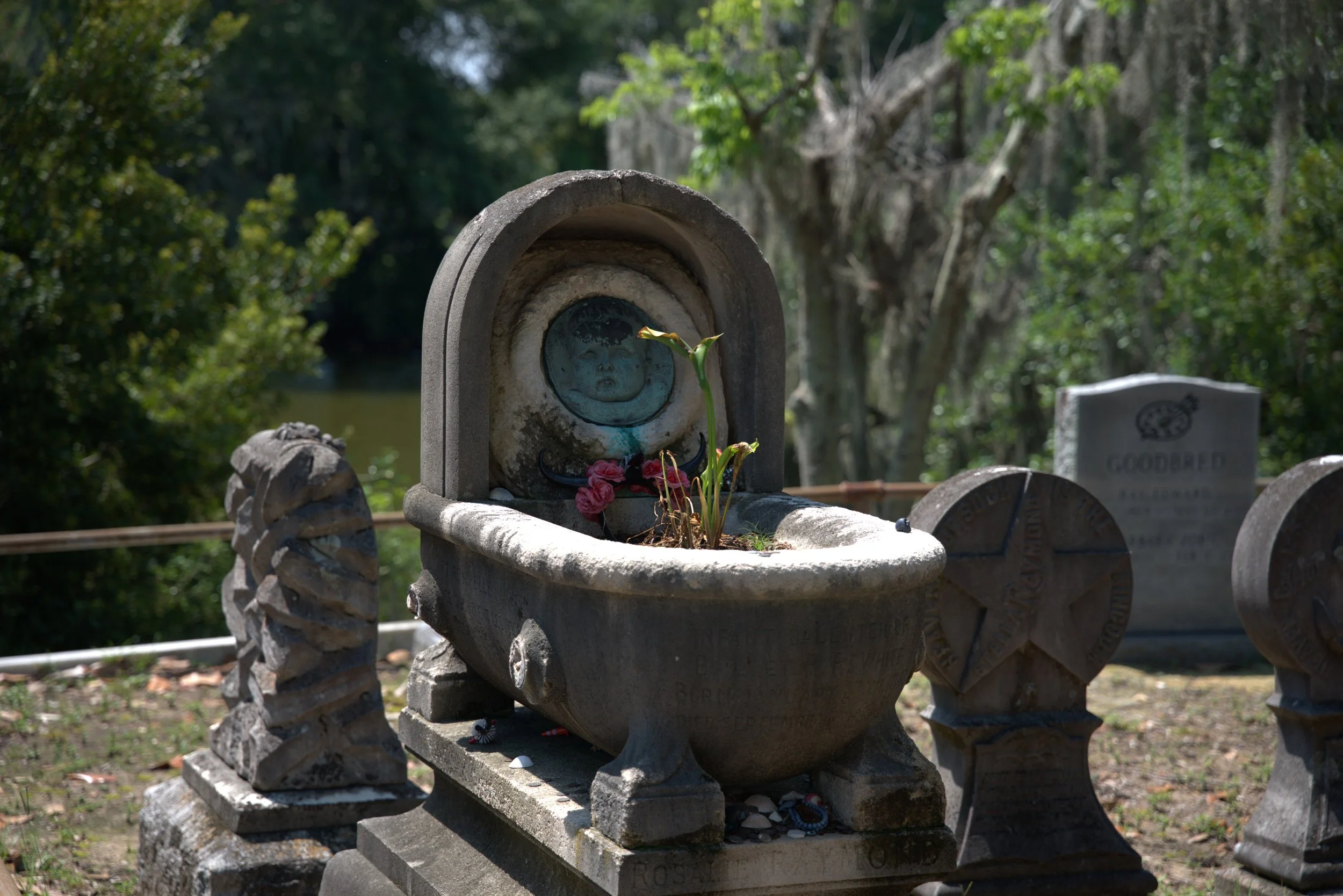 Magnolia Cemetery, Charleston, SC