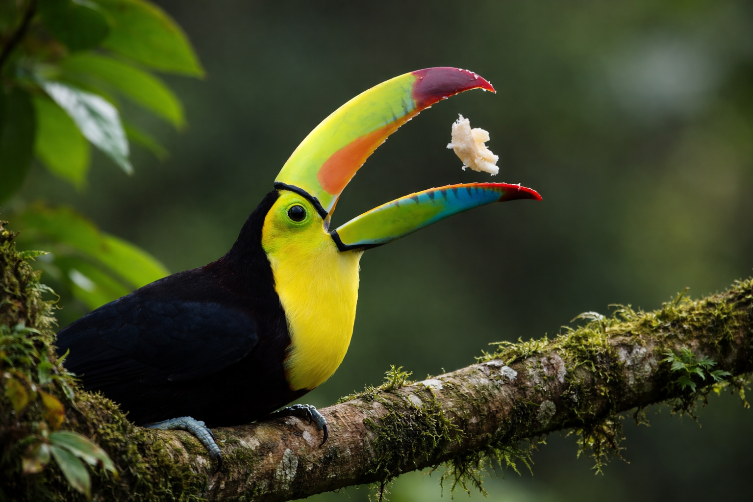 And then — movement