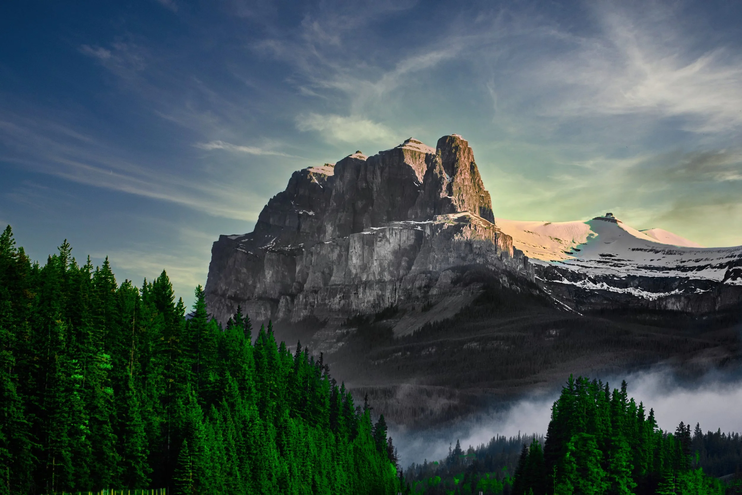 A1A03058_2 (2) 20mb.jpg