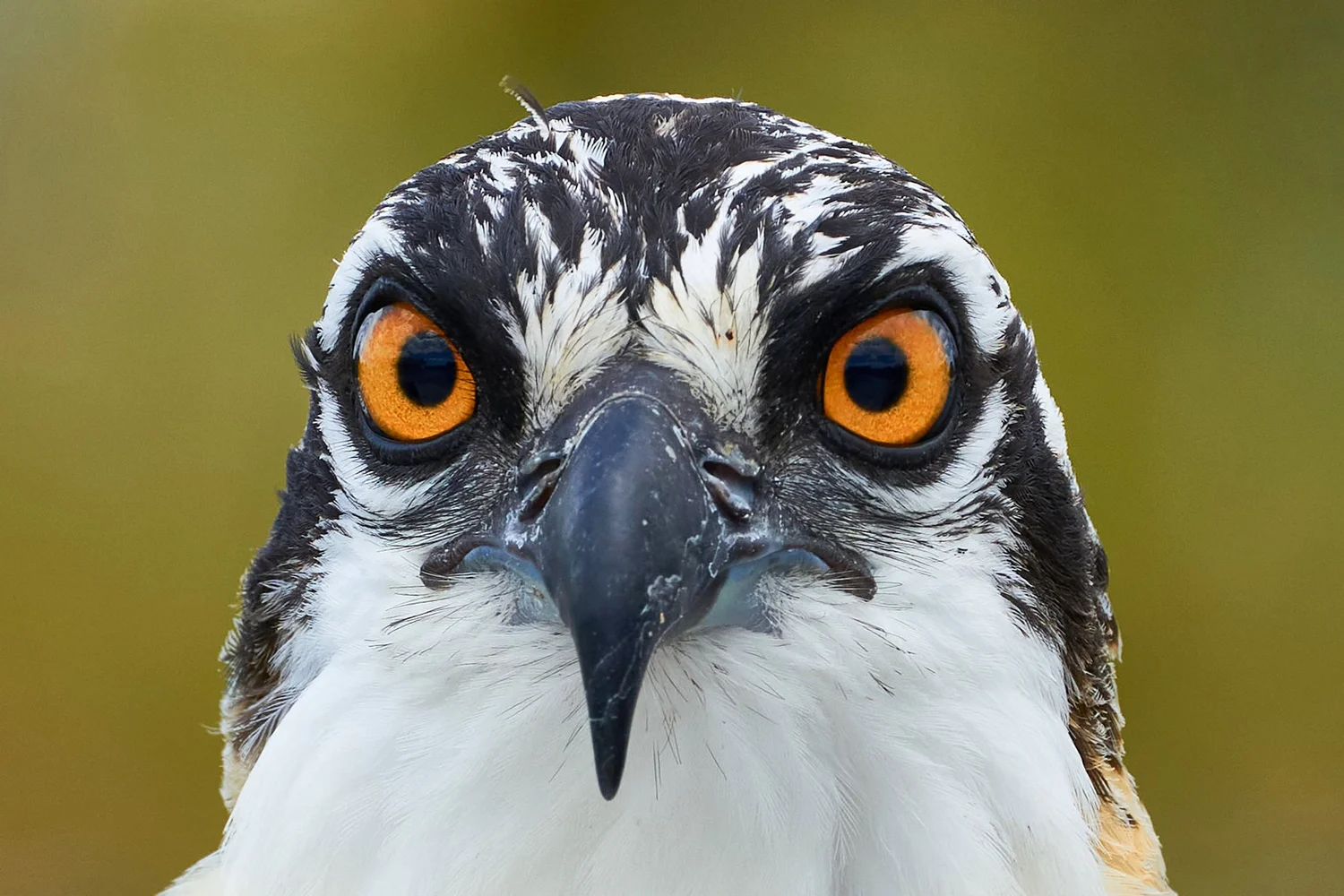 5photosyouknow@gmail.com