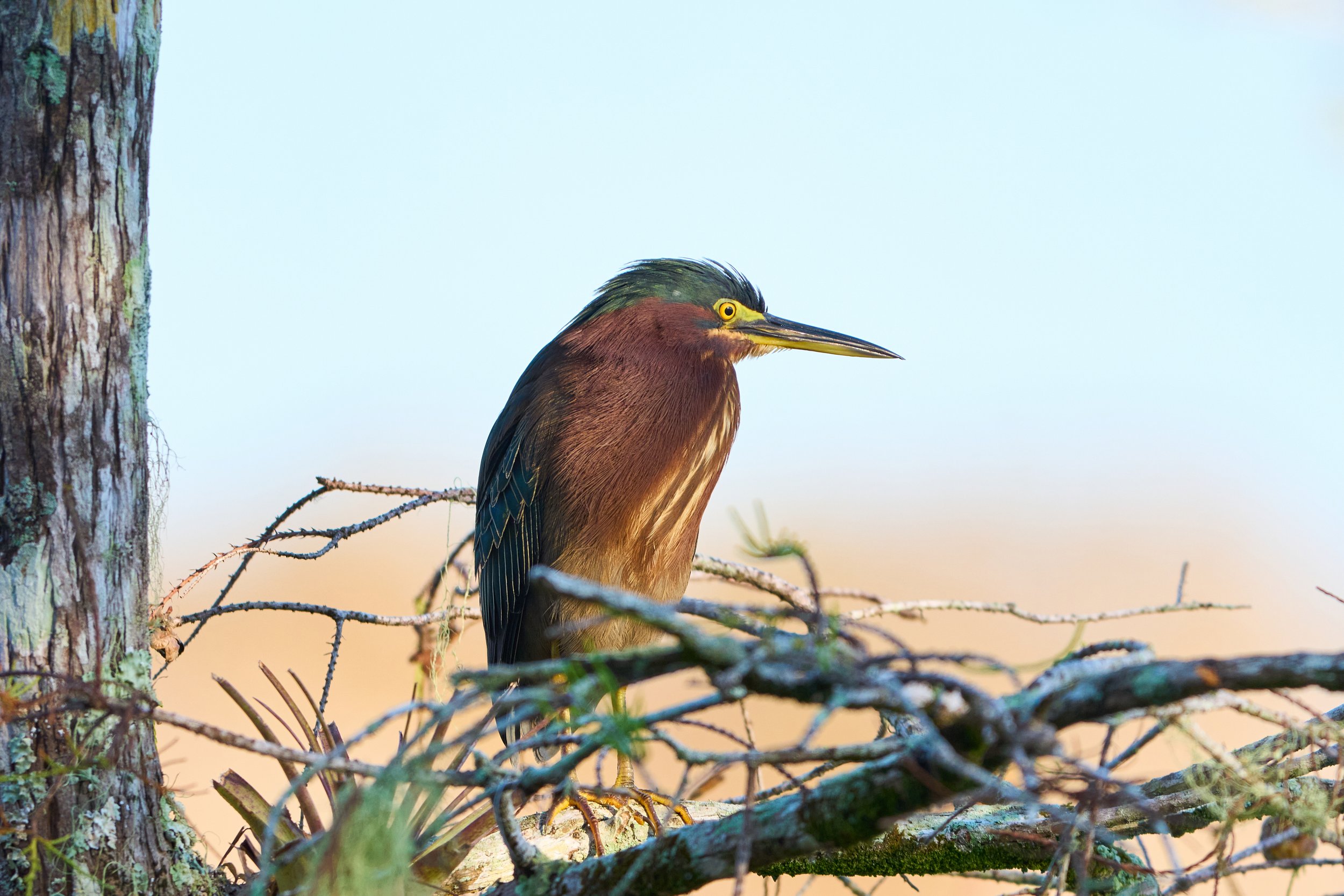 A1203105_1 20 mb.jpg