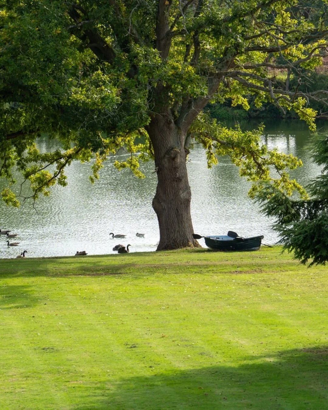 Green is quietly returning to Nor67