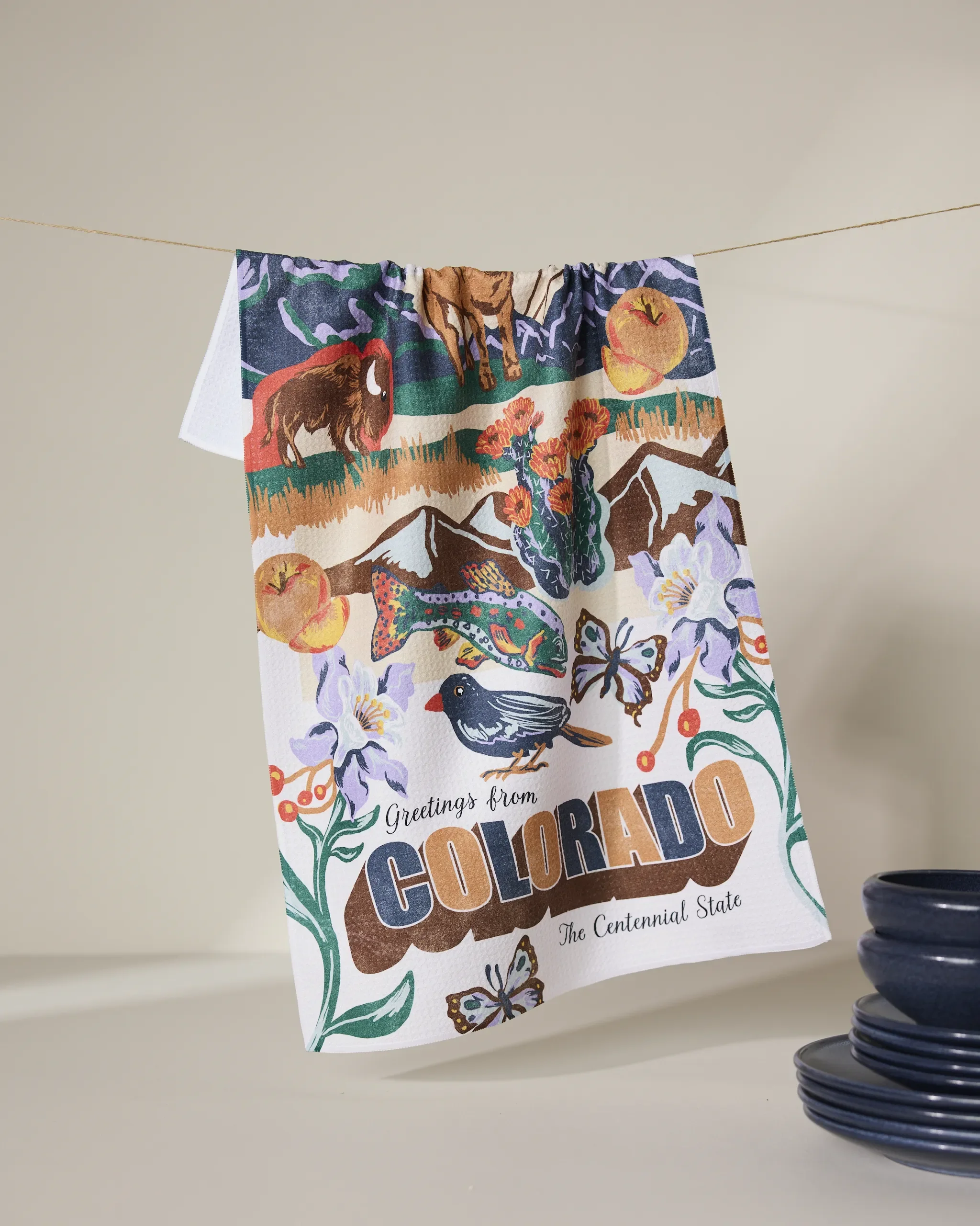 Copy of Geometry8.20.25_0301_result.webp