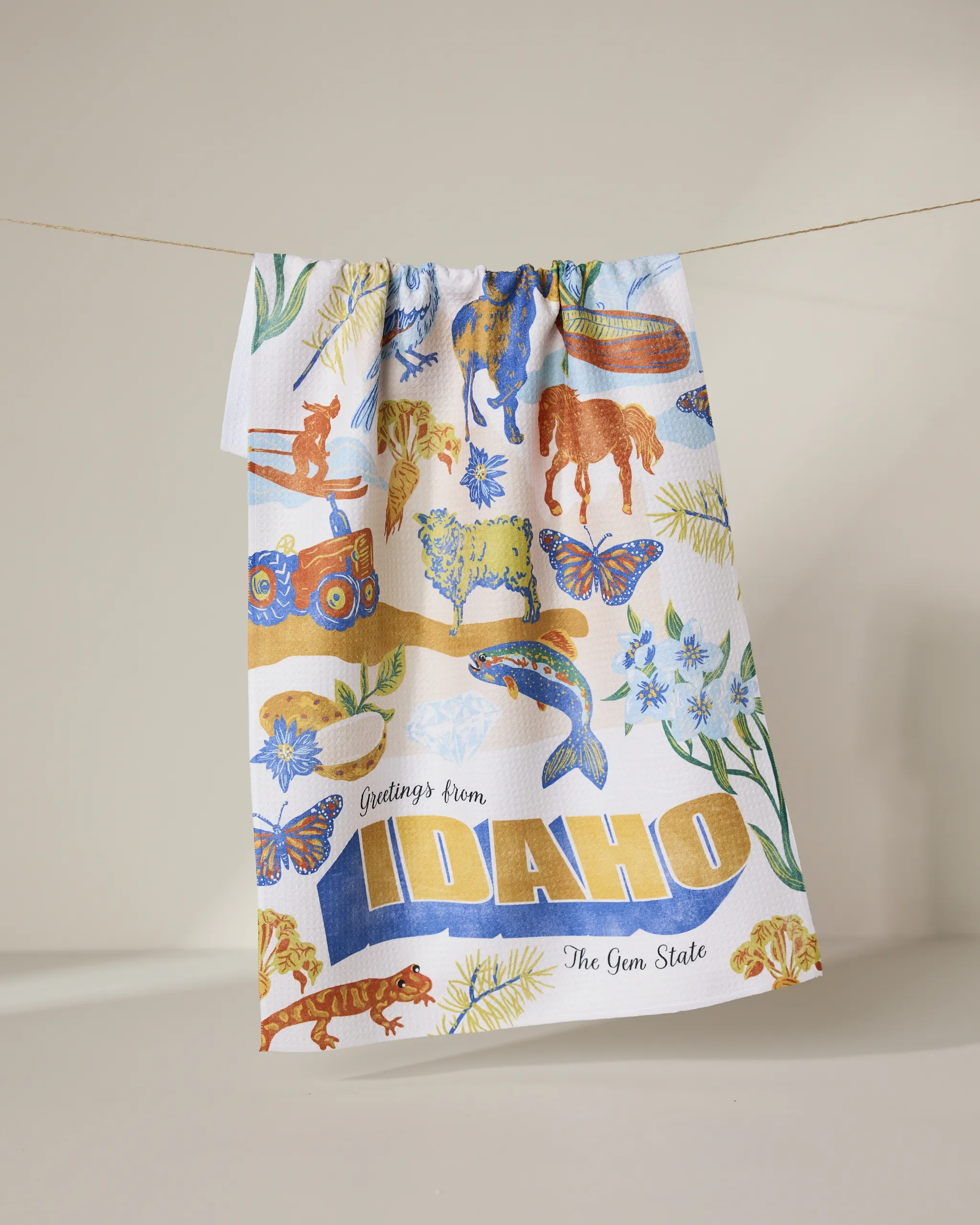 Copy of Geometry8.20.25_0305_result.webp