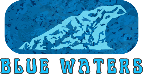 Blue Waters - We help teams perform while you see the results flow
