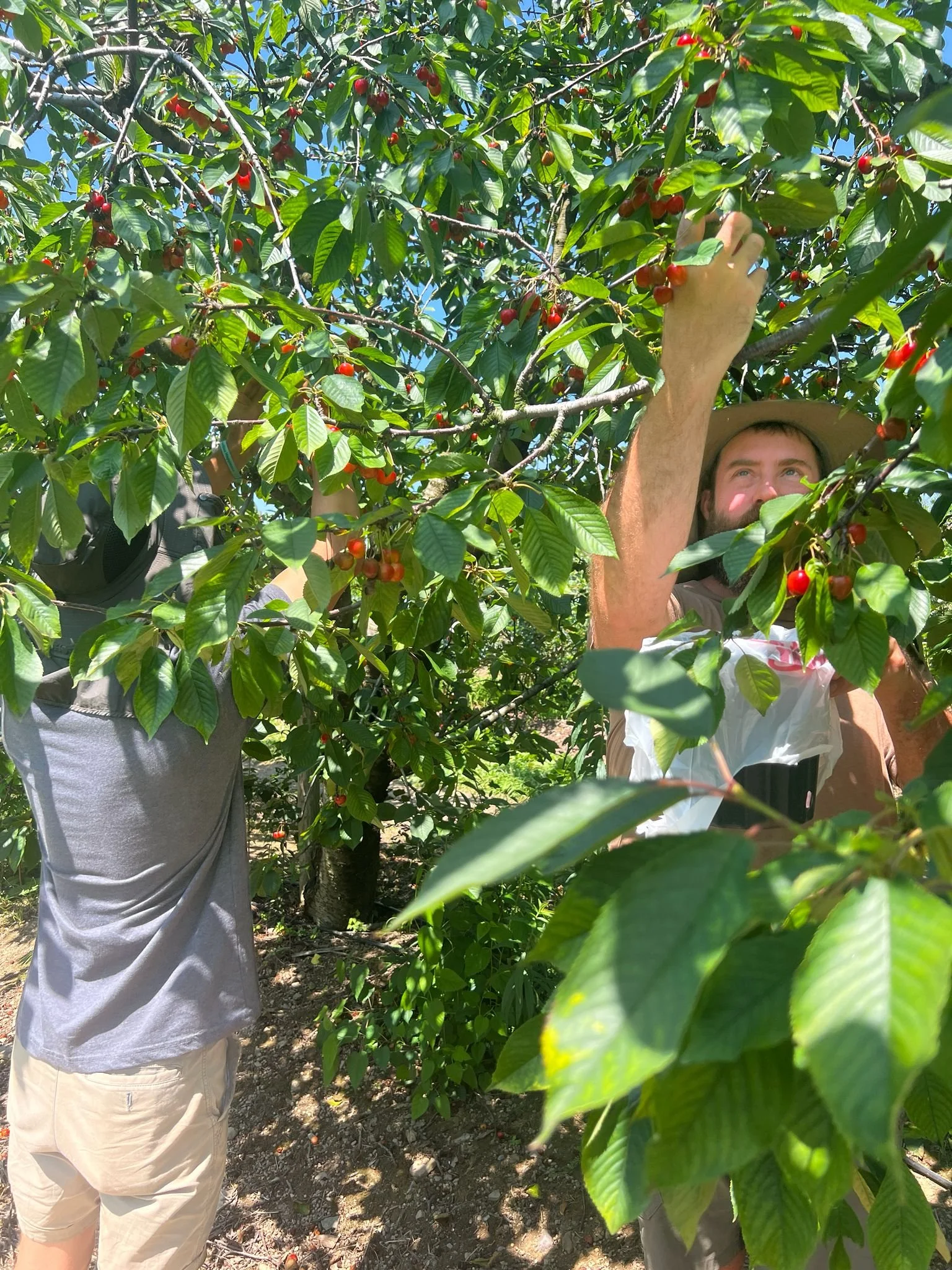 WhatsApp Image 2025-07-06 at 12.21.36.jpeg