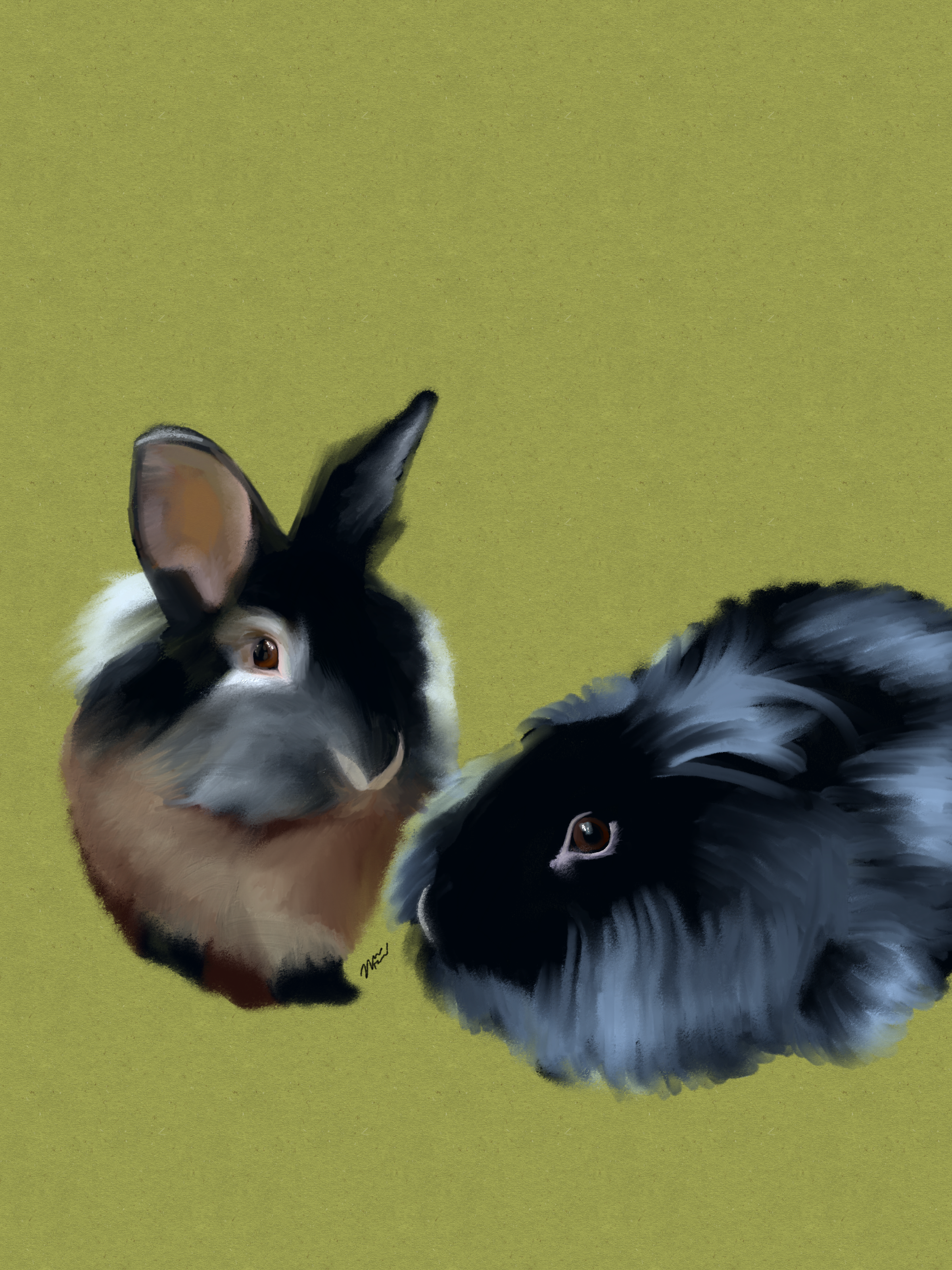 IMG_1463.png