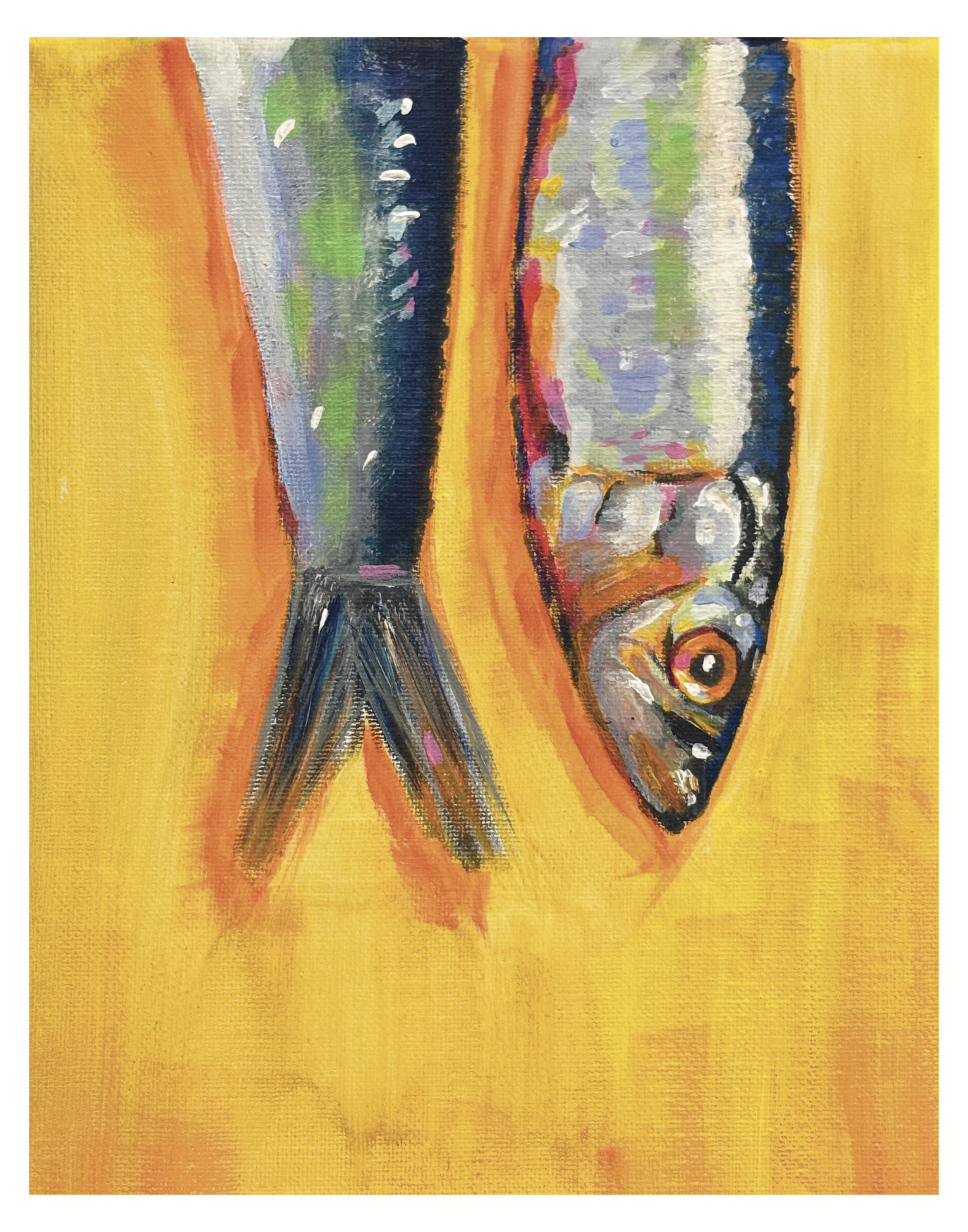 IMG_1768.png