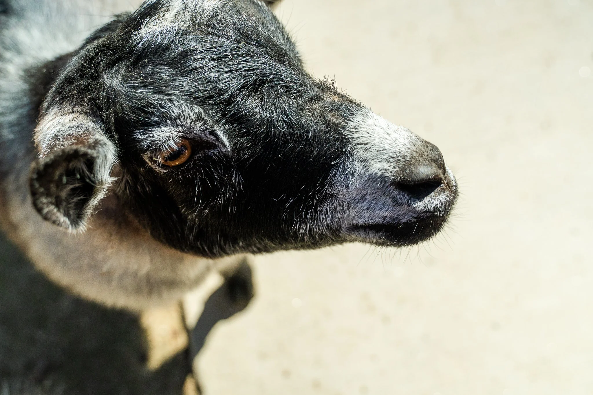 Thurgoona Early Learning Centre SEPT2025 WEB (30 of 97).JPG