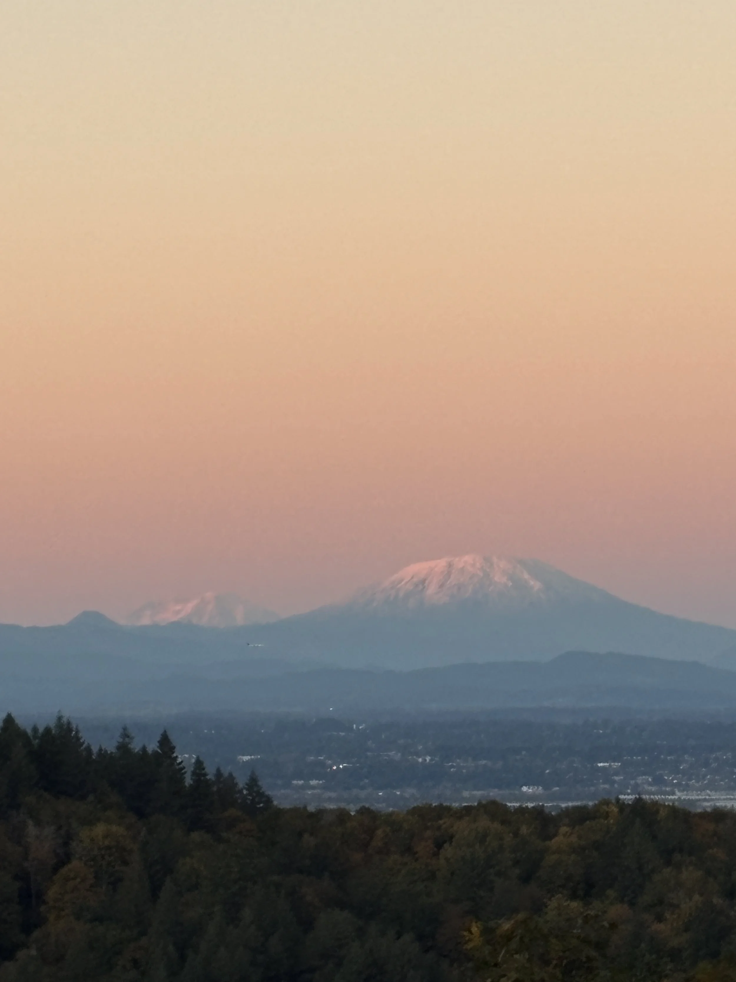 Upcoming Project: Landscape of Mt. St Helens