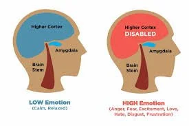 How Emotional Hijacking Happens Without Your Consent