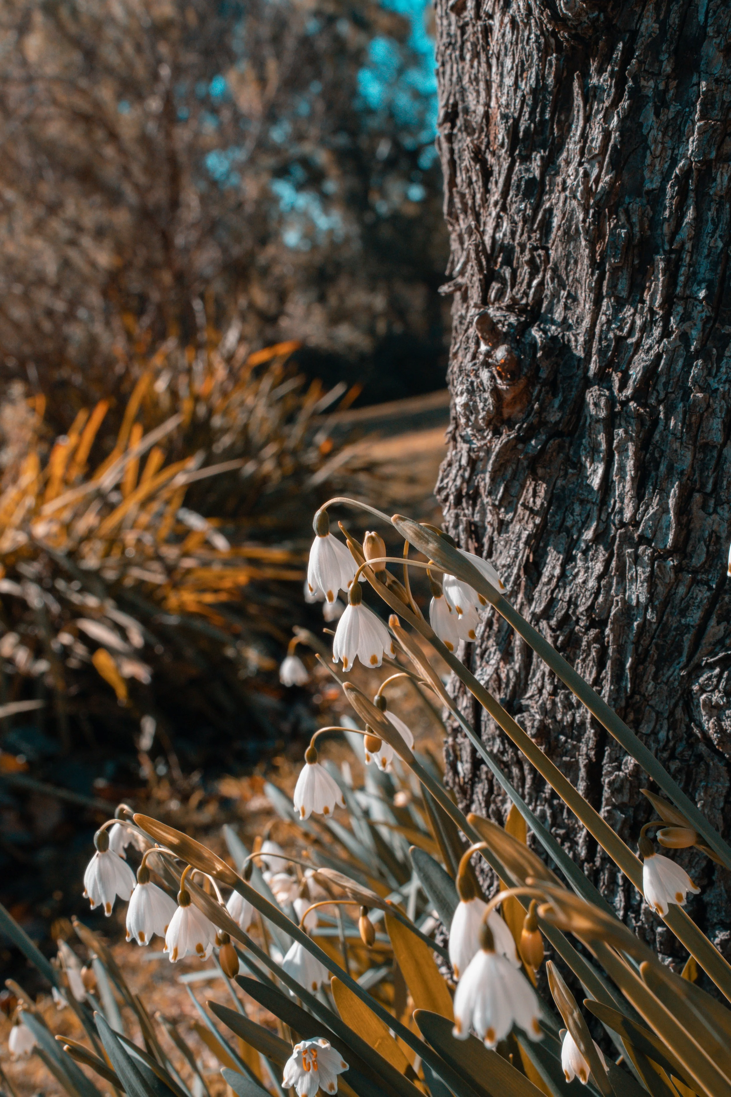 Abstract-8.jpg