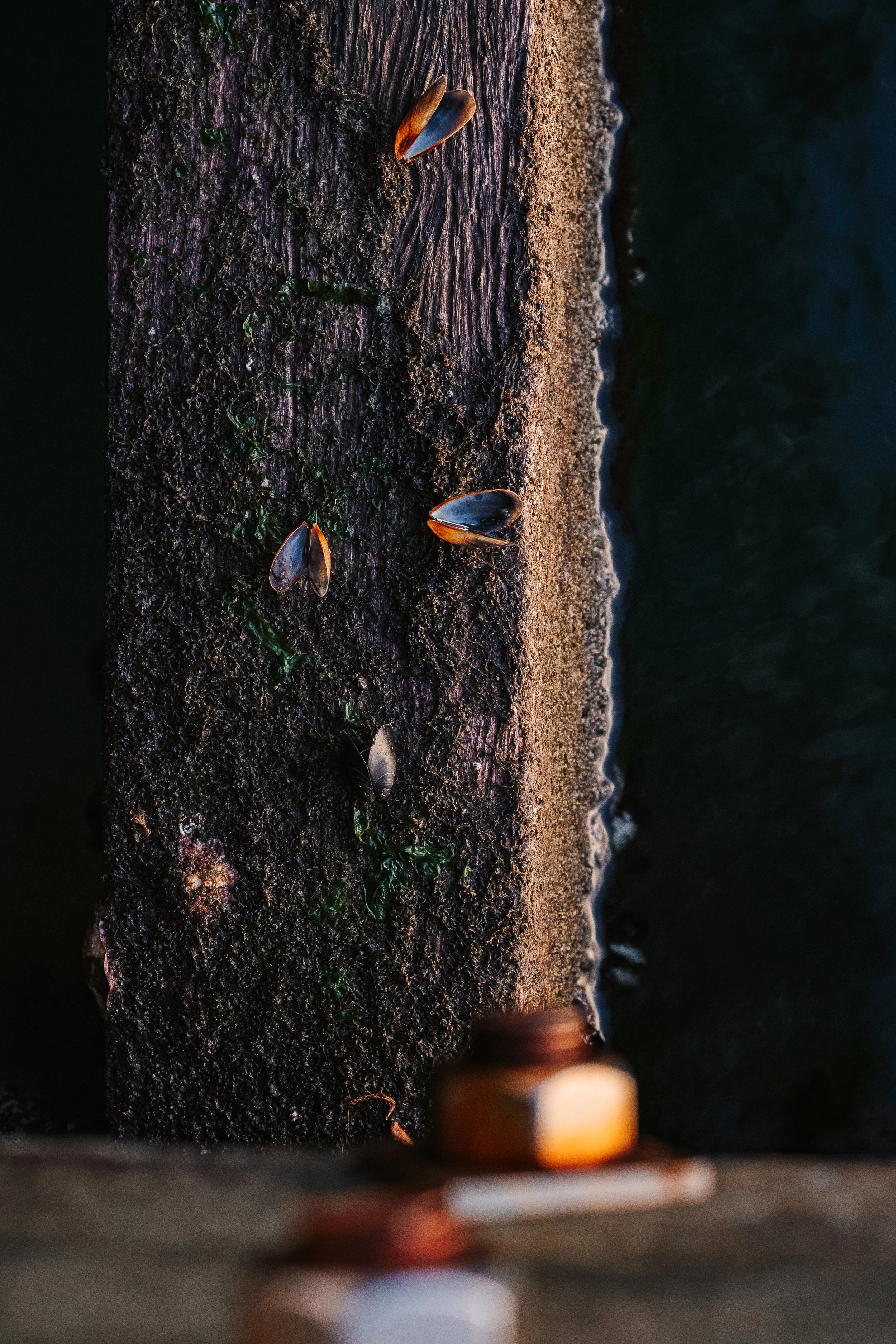 Abstract-2.jpg
