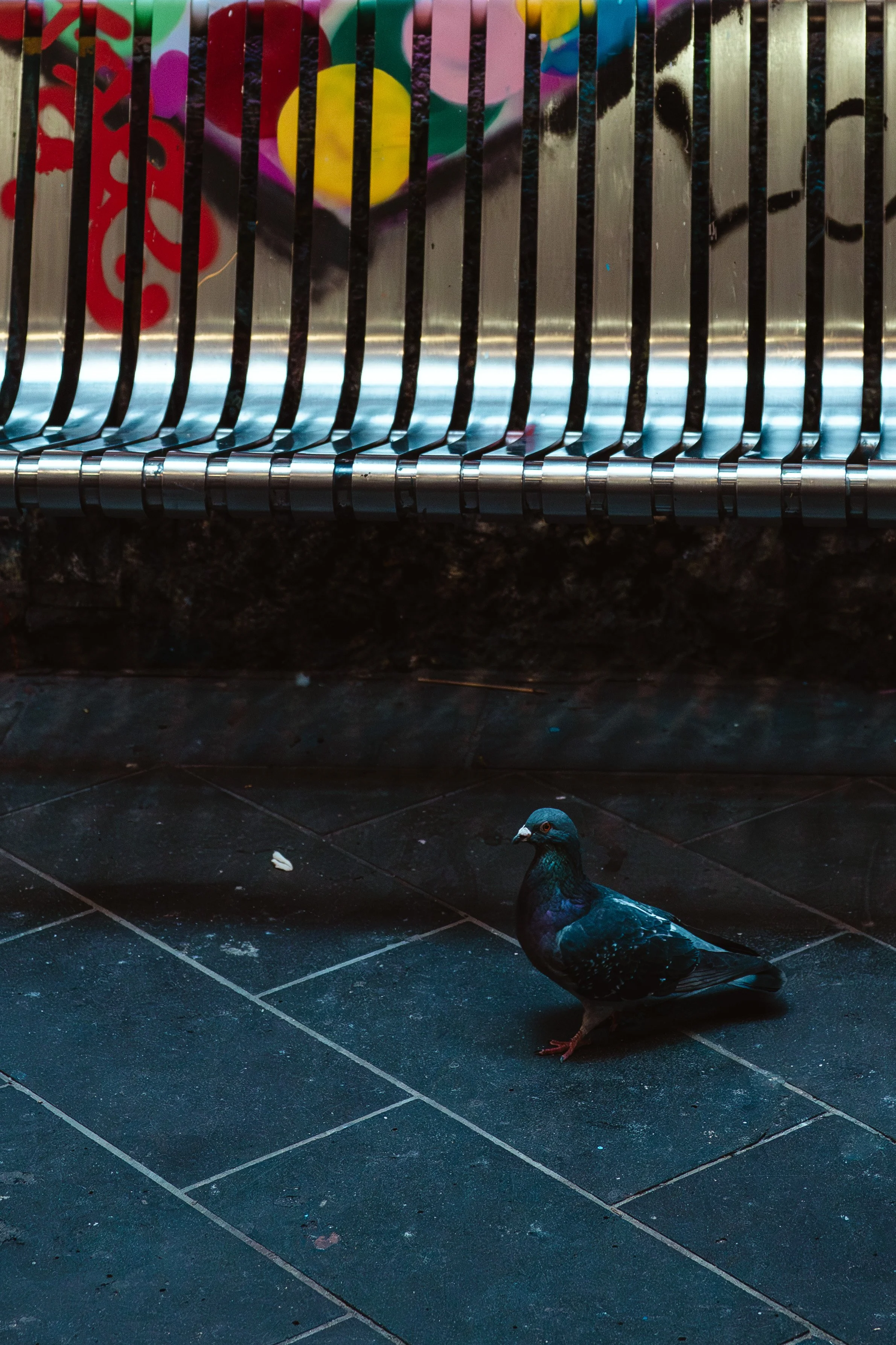 CityPhotos-9.jpg