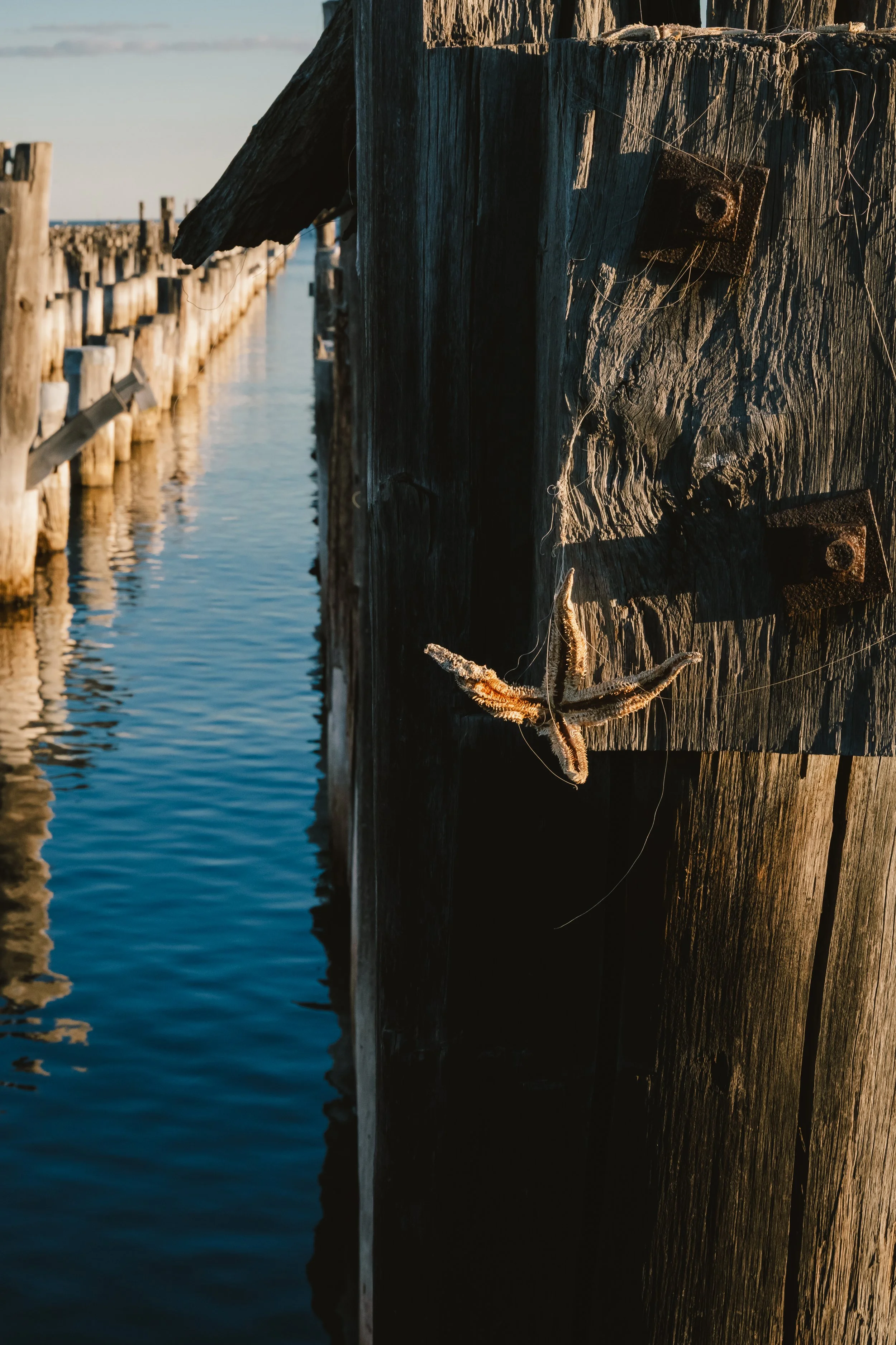 PrincesPier-4.jpg